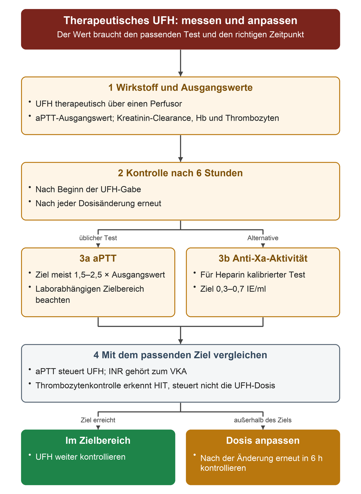 Beim therapeutischen UFH werden Wirkstoff und Ausgangswerte geklärt, sechs Stunden nach Beginn oder Dosisänderung wird kontrolliert. Die aPTT mit meist 1,5- bis 2,5-fachem Ausgangswert oder alternativ heparinkalibrierte Anti-Xa-Aktivität mit 0,3 bis 0,7 IE/ml führen zum Zielvergleich und gegebenenfalls zur Dosisanpassung mit erneuter Kontrolle.