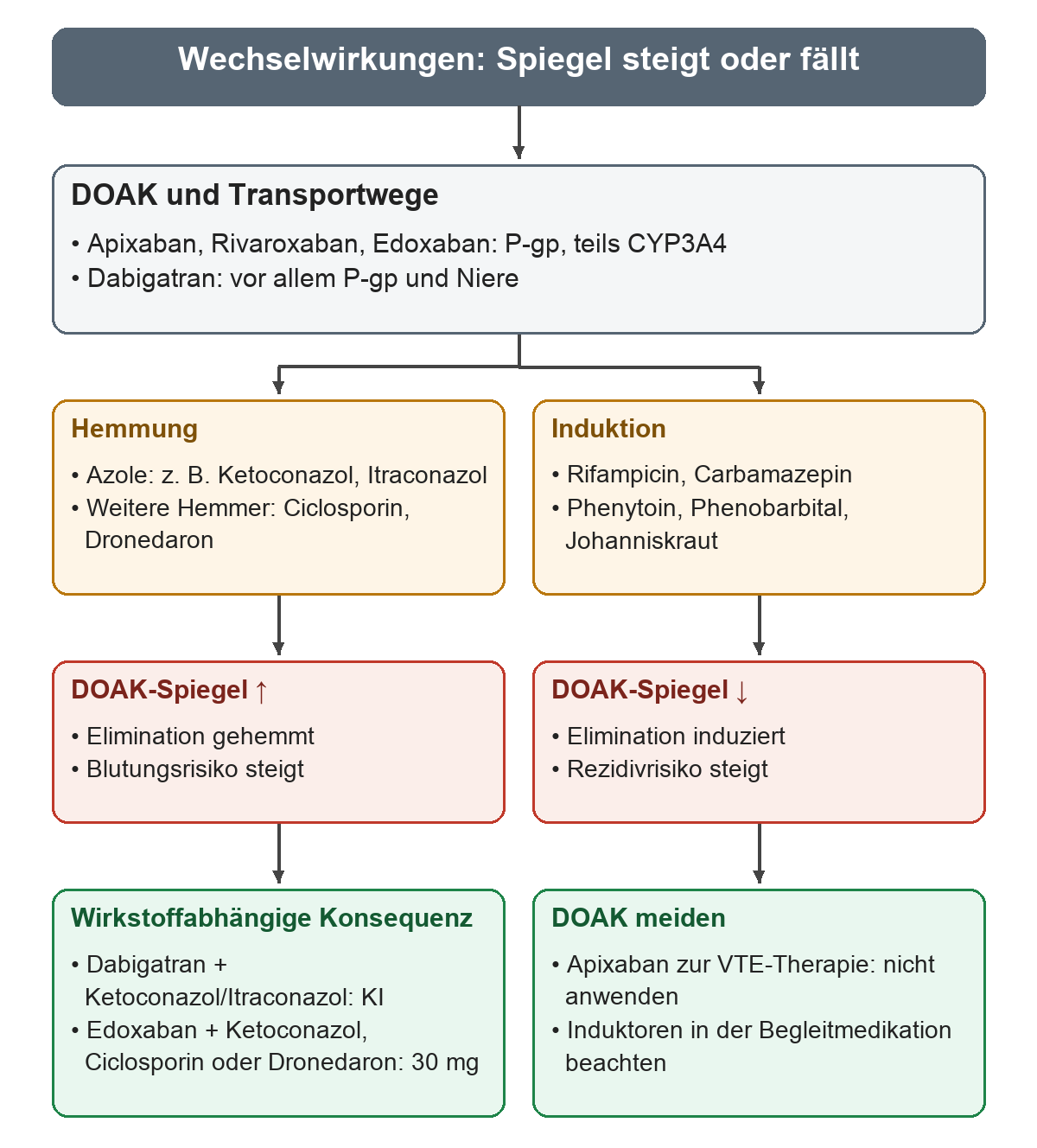 P-gp und CYP3A4 verzweigen nach links in Hemmung und nach rechts in Induktion; darunter folgen Spiegelanstieg mit Blutungsrisiko beziehungsweise Spiegelabfall mit Rezidivrisiko und die jeweiligen Konsequenzen.