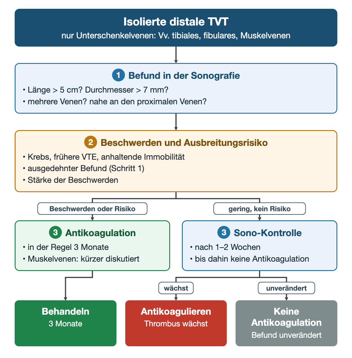 Isolierte distale TVT: erst der Sonografiebefund (Länge über 5 cm, Durchmesser über 7 mm, mehrere Venen, Nähe zu den proximalen Venen), dann Beschwerden und Risikofaktoren; bei Beschwerden oder Risiko Antikoagulation für 3 Monate, sonst Sonografie nach 1–2 Wochen mit Antikoagulation bei Wachstum und ohne Antikoagulation bei unverändertem Befund