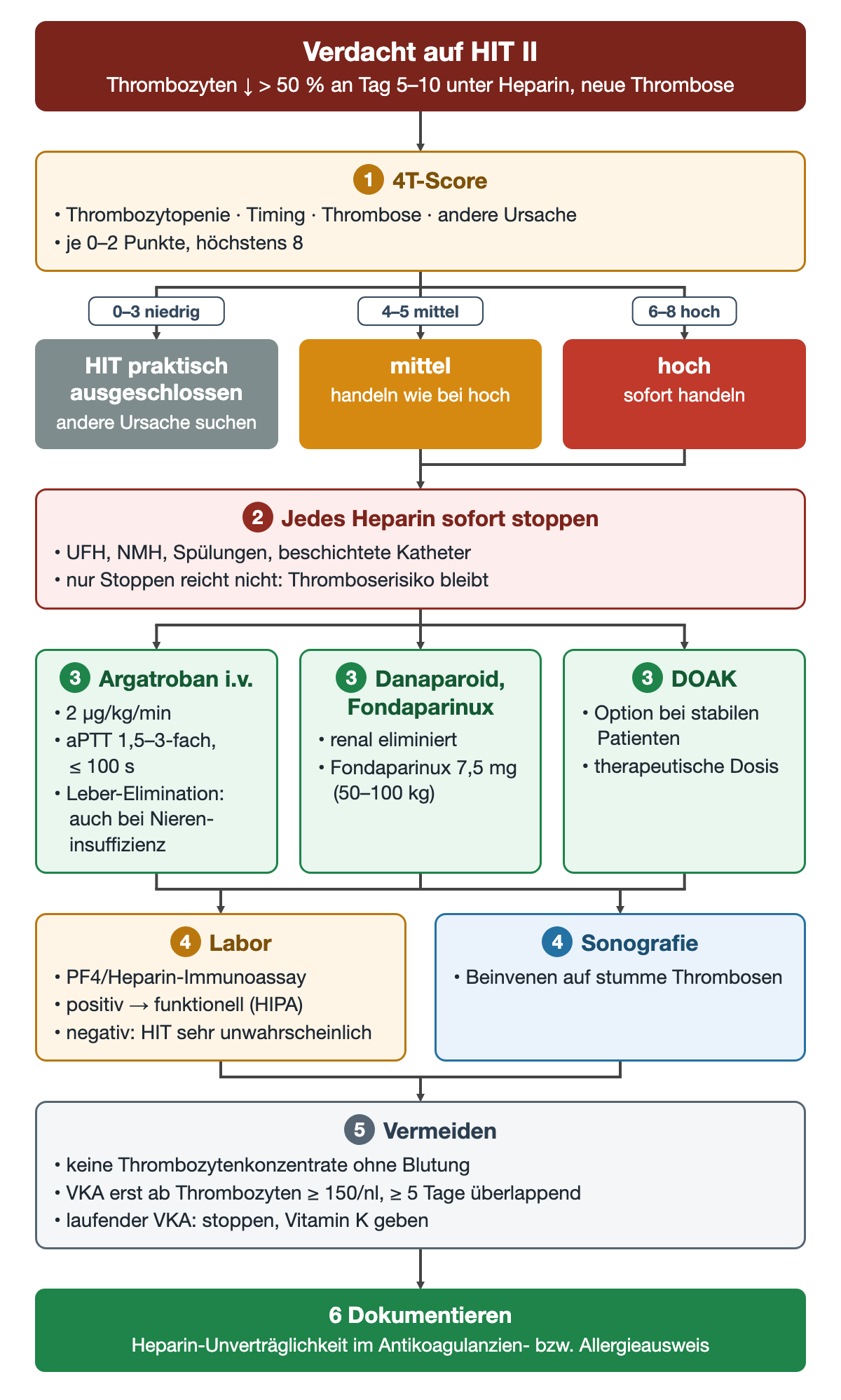 Handlungsweg bei HIT-Verdacht: 4T-Score mit drei Ergebnissen; bei mittlerer oder hoher Wahrscheinlichkeit jedes Heparin stoppen, dann heparinfreie Antikoagulation (Argatroban 2 µg/kg/min, Danaparoid oder Fondaparinux, DOAK), Labor und Sonografie, zu vermeidende Maßnahmen mit VKA-Beginn erst ab 150/nl Thrombozyten und zuletzt die Dokumentation