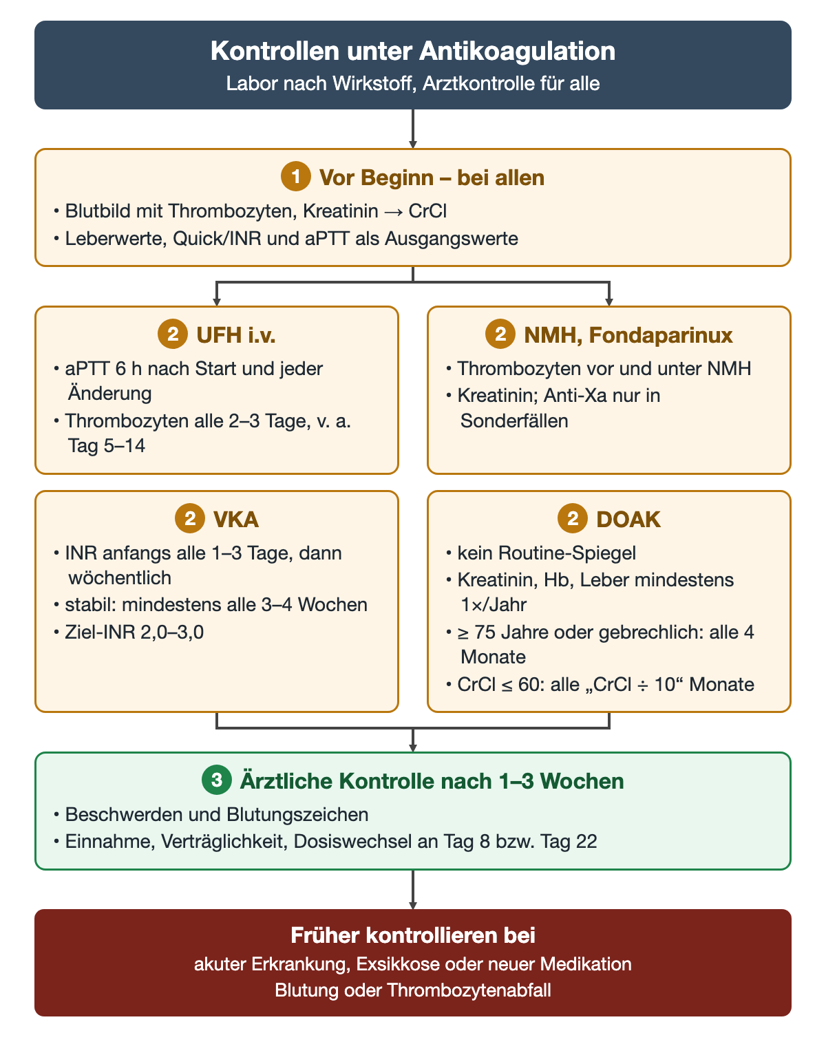 Flussdiagramm: Ausgangswerte vor Beginn, dann vier Kästen mit Laborkontrollen und Intervallen für UFH, NMH und Fondaparinux, VKA und DOAK, danach die ärztliche Kontrolle nach 1–3 Wochen und unten die Anlässe für frühere Kontrollen