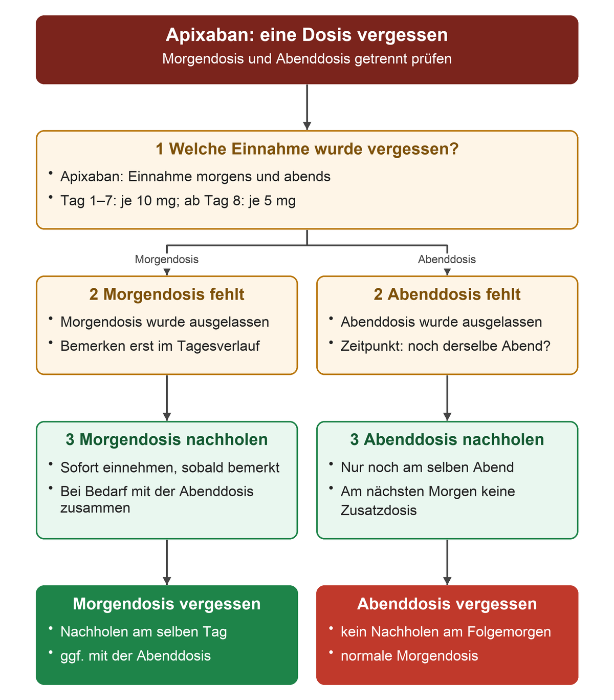 Bei einer vergessenen Apixaban-Dosis wird zwischen Morgen und Abend unterschieden. Eine Morgendosis wird sofort nachgeholt, bei Bedarf zusammen mit der Abenddosis. Eine vergessene Abenddosis darf nur am selben Abend nachgeholt werden; am nächsten Morgen folgt allein die normale Morgendosis.