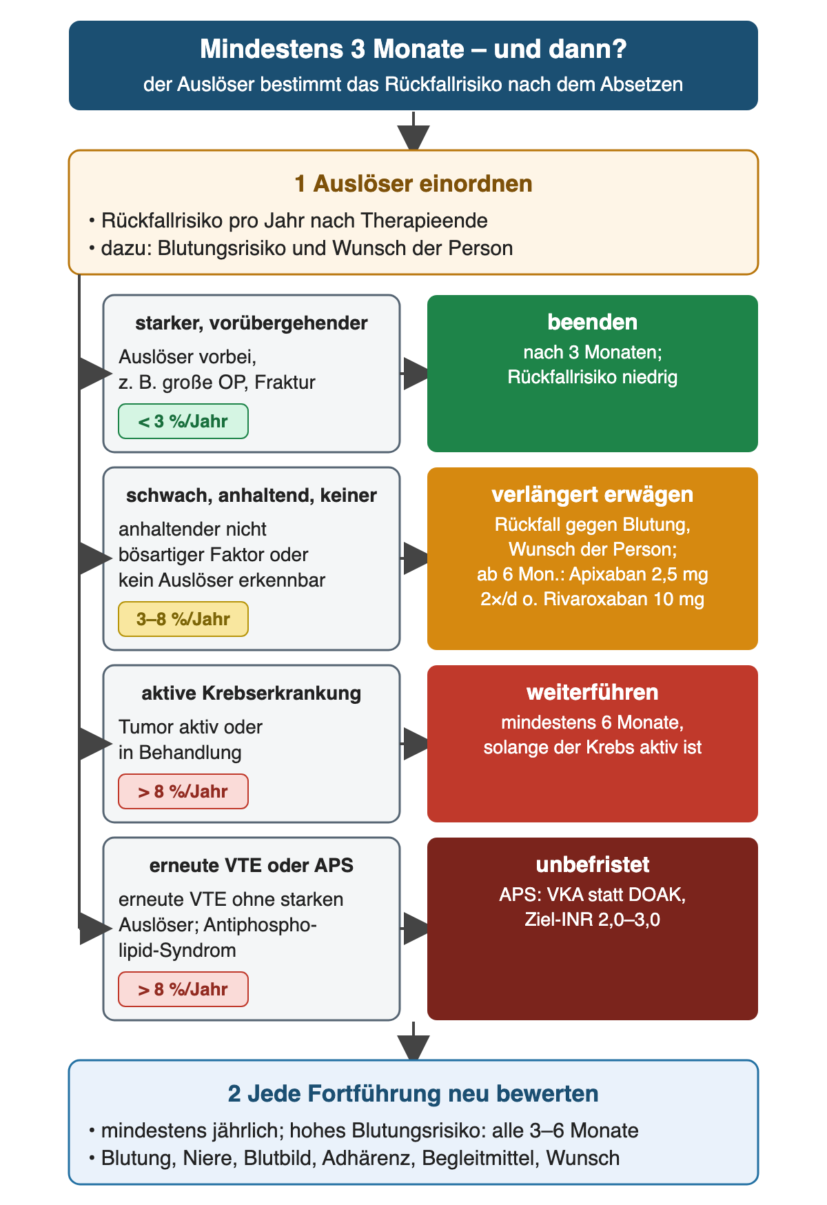 Entscheidungsdiagramm nach mindestens 3 Monaten: 1 Auslöser einordnen, Rückfallrisiko pro Jahr nach Therapieende, dazu Blutungsrisiko und Wunsch der Person. Vier Zeilen mit Konsequenz: starker vorübergehender Auslöser vorbei, z. B. große OP oder Fraktur, Rückfall unter 3 % pro Jahr, beenden; schwacher oder anhaltender nicht bösartiger Faktor oder kein Auslöser, 3–8 % pro Jahr, verlängert erwägen, ab 6 Monaten Apixaban 2,5 mg zweimal täglich oder Rivaroxaban 10 mg; aktive Krebserkrankung, über 8 % pro Jahr, weiterführen mindestens 6 Monate und solange der Krebs aktiv ist; erneute VTE ohne starken Auslöser oder Antiphospholipid-Syndrom, über 8 % pro Jahr, unbefristet, beim APS VKA mit Ziel-INR 2,0–3,0. 2 Jede Fortführung neu bewerten, mindestens jährlich, bei hohem Blutungsrisiko alle 3–6 Monate.