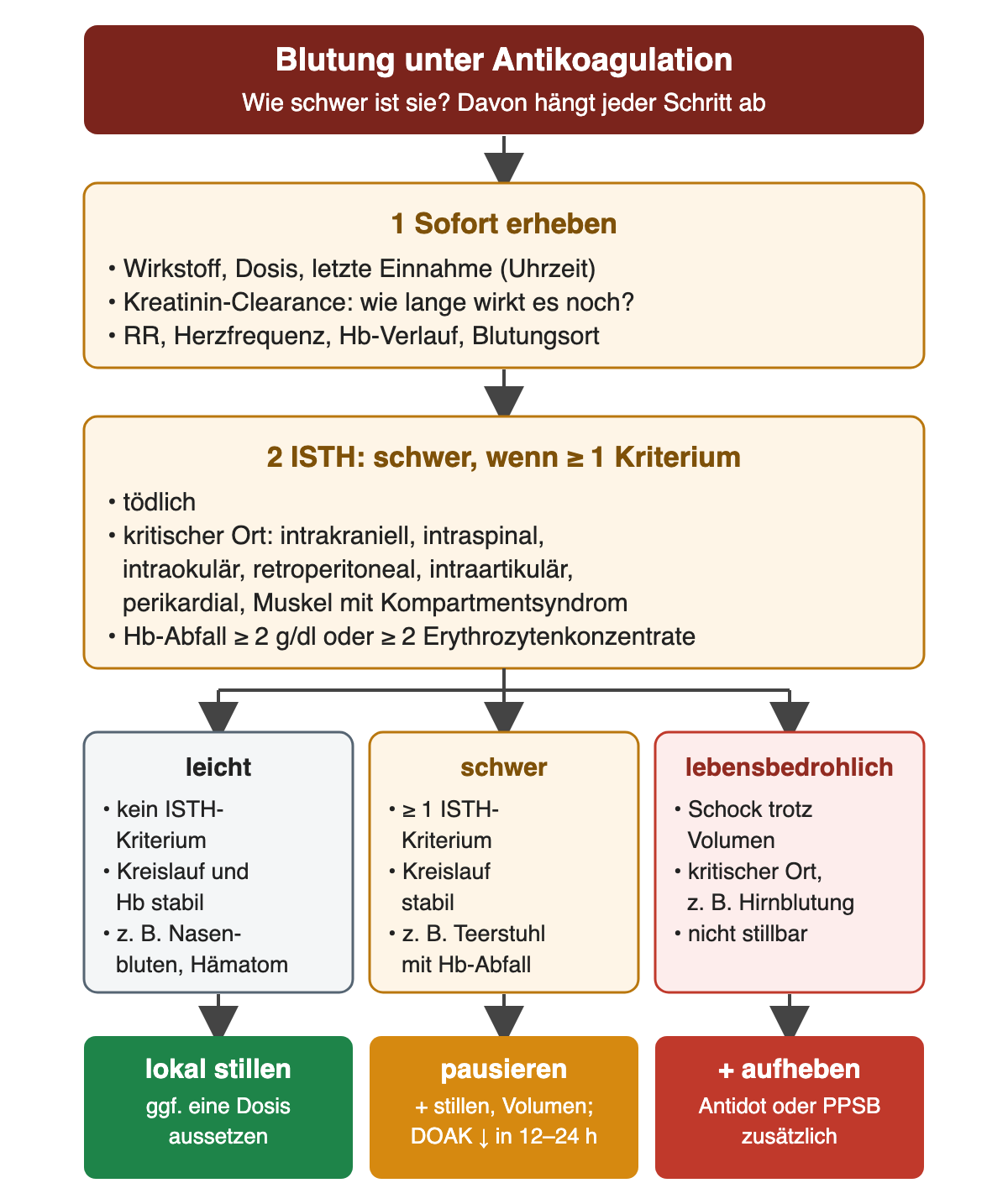 Flussdiagramm: 1 sofort Wirkstoff, Dosis, letzte Einnahme, Kreatinin-Clearance, Blutdruck, Herzfrequenz, Hb-Verlauf und Blutungsort erheben; 2 ISTH-Kriterien für schwere Blutung: tödlich, kritischer Ort (intrakraniell, intraspinal, intraokulär, retroperitoneal, intraartikulär, perikardial, Muskel mit Kompartmentsyndrom), Hb-Abfall um mindestens 2 g/dl oder mindestens 2 Erythrozytenkonzentrate. Drei Spalten: leicht, schwer mit stabilem Kreislauf, lebensbedrohlich mit Schock, kritischem Ort oder nicht stillbarer Blutung. Ergebniszeile: lokal stillen; pausieren plus stillen und Volumen, DOAK-Wirkung lässt in 12–24 Stunden nach; zusätzlich Wirkung mit Antidot oder PPSB aufheben.