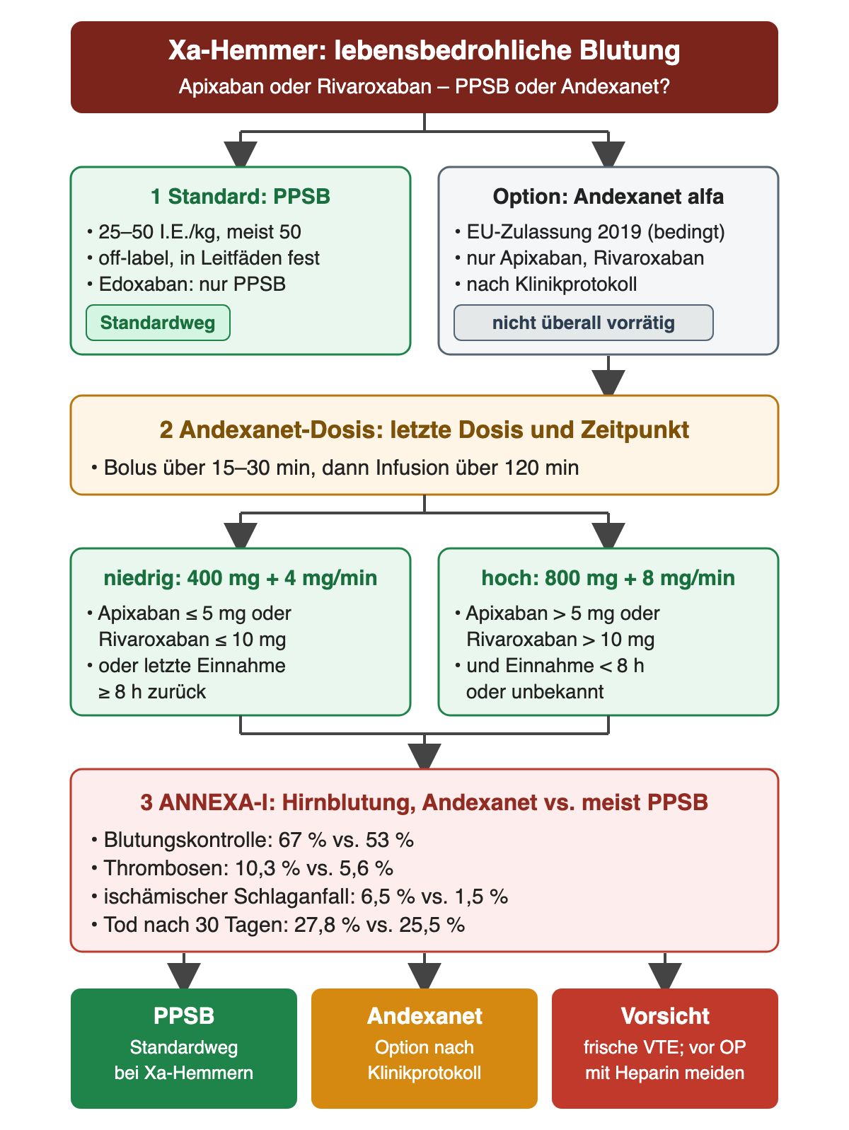 Entscheidungsdiagramm bei lebensbedrohlicher Blutung unter Apixaban oder Rivaroxaban. Links Standard PPSB 25–50 I.E./kg, meist 50, off-label, auch für Edoxaban; rechts Option Andexanet alfa, EU-Zulassung 2019 bedingt, nur Apixaban und Rivaroxaban, nach Klinikprotokoll, nicht überall vorrätig. 2 Andexanet-Dosis: Bolus über 15–30 Minuten, dann Infusion über 120 Minuten; niedrig 400 mg plus 4 mg/min bei letzter Dosis Apixaban bis 5 mg oder Rivaroxaban bis 10 mg oder Einnahme mindestens 8 Stunden zurück; hoch 800 mg plus 8 mg/min bei höherer Dosis und Einnahme vor weniger als 8 Stunden oder unbekannt. 3 ANNEXA-I bei Hirnblutung, Andexanet gegen meist PPSB: Blutungskontrolle 67 gegen 53 %, Thrombosen 10,3 gegen 5,6 %, ischämischer Schlaganfall 6,5 gegen 1,5 %, Tod nach 30 Tagen 27,8 gegen 25,5 %. Ergebniszeile: PPSB Standardweg; Andexanet Option nach Klinikprotokoll; Vorsicht bei frischer VTE, vor Operation mit Heparin meiden.