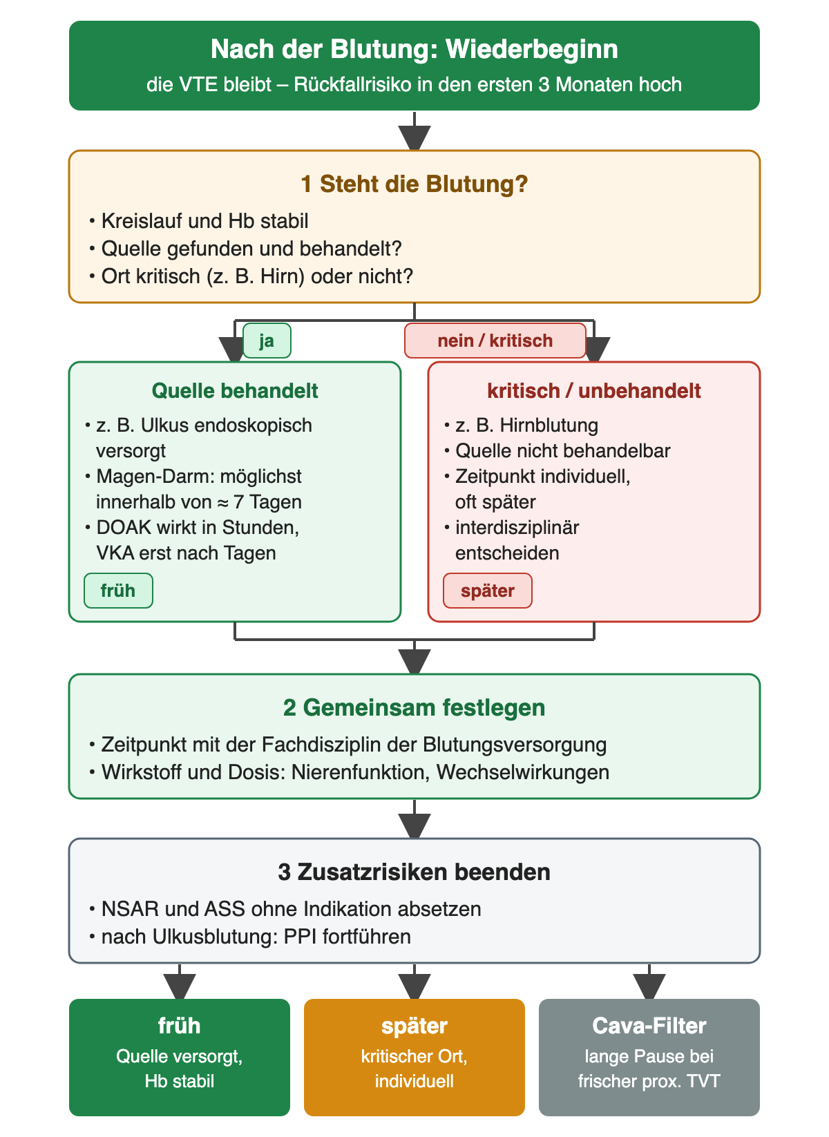 Flussdiagramm: 1 Steht die Blutung, Kreislauf und Hb stabil, Quelle behandelt, Ort kritisch? Ja führt zu Quelle behandelt, z. B. Ulkus endoskopisch versorgt, Magen-Darm möglichst innerhalb von etwa 7 Tagen, DOAK wirkt in Stunden, VKA erst nach Tagen, Schild früh. Nein oder kritisch führt zu z. B. Hirnblutung oder nicht behandelbarer Quelle, Zeitpunkt individuell und oft später, interdisziplinär, Schild später. 2 Gemeinsam festlegen mit der Fachdisziplin, Wirkstoff und Dosis nach Nierenfunktion und Wechselwirkungen. 3 Zusatzrisiken beenden: NSAR und ASS ohne Indikation absetzen, nach Ulkusblutung PPI fortführen. Ergebniszeile: früh, später, Vena-cava-Filter nur bei langer Pause in der Frühphase einer frischen proximalen TVT.