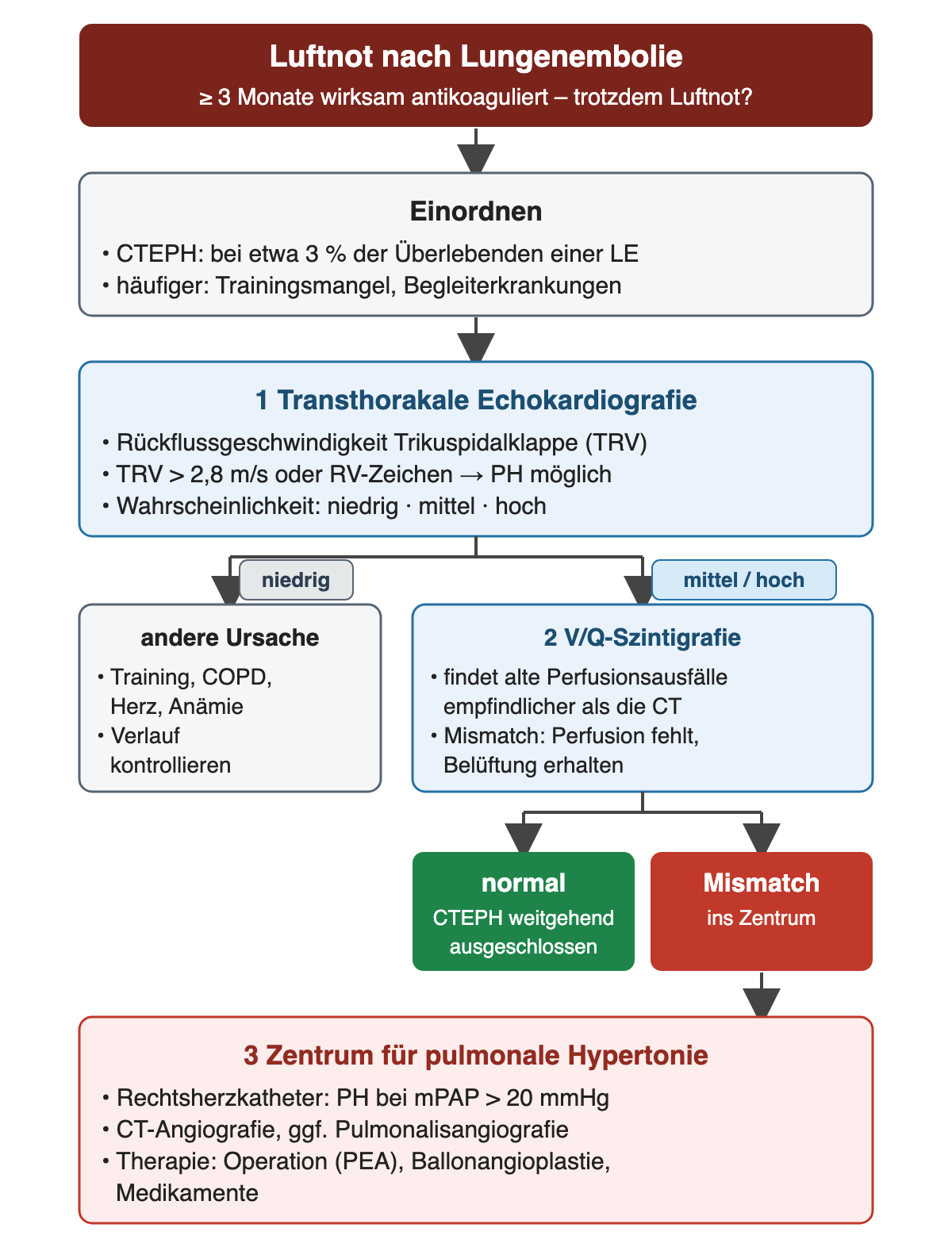 Flussdiagramm: Luftnot nach mindestens 3 Monaten wirksamer Antikoagulation. Einordnen: CTEPH bei etwa 3 % der Überlebenden einer Lungenembolie, häufiger Trainingsmangel oder Begleiterkrankungen. 1 Transthorakale Echokardiografie: Rückflussgeschwindigkeit über der Trikuspidalklappe, über 2,8 m/s oder Zeichen am rechten Ventrikel machen eine pulmonale Hypertonie möglich, Wahrscheinlichkeit niedrig, mittel oder hoch. Niedrig führt zu anderer Ursache wie Training, COPD, Herz oder Anämie und Verlaufskontrolle; mittel oder hoch führt zu 2 V/Q-Szintigrafie, empfindlicher als die CT für alte Perfusionsausfälle. Normal: CTEPH weitgehend ausgeschlossen; Mismatch mit fehlender Perfusion bei erhaltener Belüftung: ins Zentrum. 3 Zentrum für pulmonale Hypertonie: Rechtsherzkatheter mit pulmonaler Hypertonie bei mittlerem Pulmonalarteriendruck über 20 mmHg, CT-Angiografie oder Pulmonalisangiografie, Therapie mit Operation, Ballonangioplastie oder Medikamenten.
