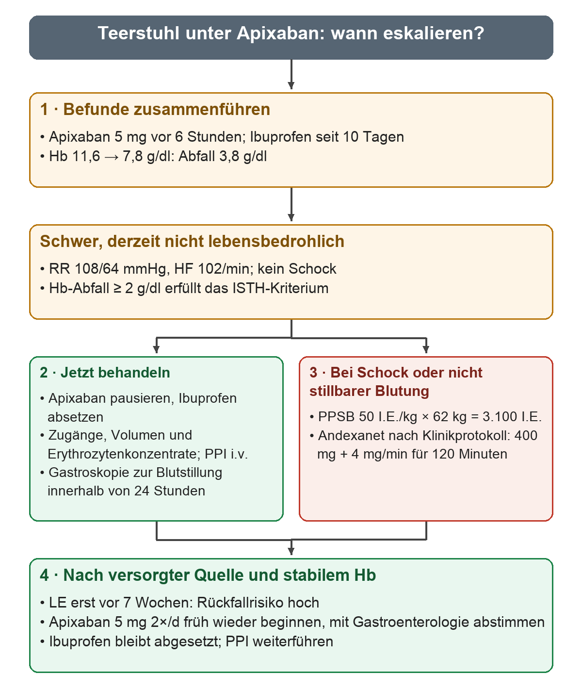 Die Falldaten mit Hb-Abfall um 3,8 g/dl führen zur schweren, zunächst nicht lebensbedrohlichen Blutung. Links stehen aktuelle Maßnahmen, rechts der Eskalationsplan mit PPSB 3.100 I.E. bei Schock oder nicht stillbarer Blutung. Nach Blutstillung und stabilem Hb folgt der frühe Wiederbeginn mit Apixaban.