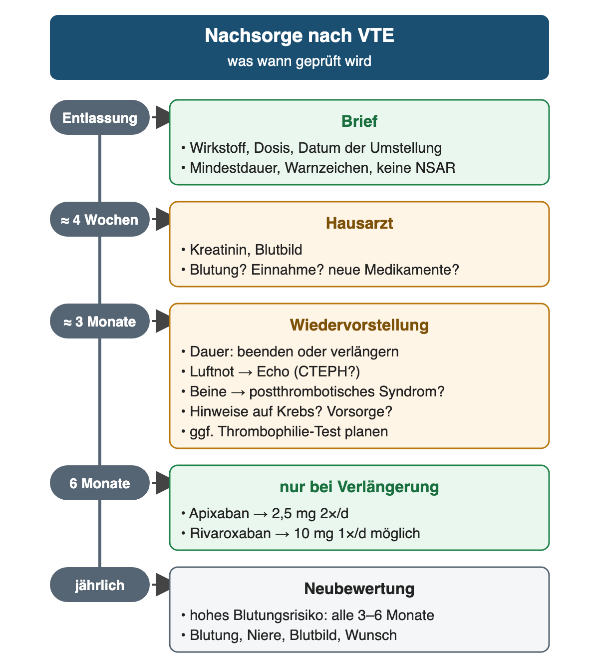 Senkrechter Zeitstrahl mit fünf Stationen: Entlassung mit Brief (Wirkstoff, Dosis, Datum der Umstellung, Mindestdauer, Warnzeichen, keine NSAR); nach etwa 4 Wochen Hausarzt (Kreatinin, Blutbild, Blutung, Einnahme, neue Medikamente); nach etwa 3 Monaten Wiedervorstellung (Dauer beenden oder verlängern, Luftnot mit Echo auf CTEPH, Beine auf postthrombotisches Syndrom, Hinweise auf Krebs und Vorsorge, ggf. Thrombophilie-Test planen); nach 6 Monaten nur bei Verlängerung Apixaban 2,5 mg zweimal täglich oder Rivaroxaban 10 mg einmal täglich möglich; jährlich Neubewertung, bei hohem Blutungsrisiko alle 3–6 Monate.