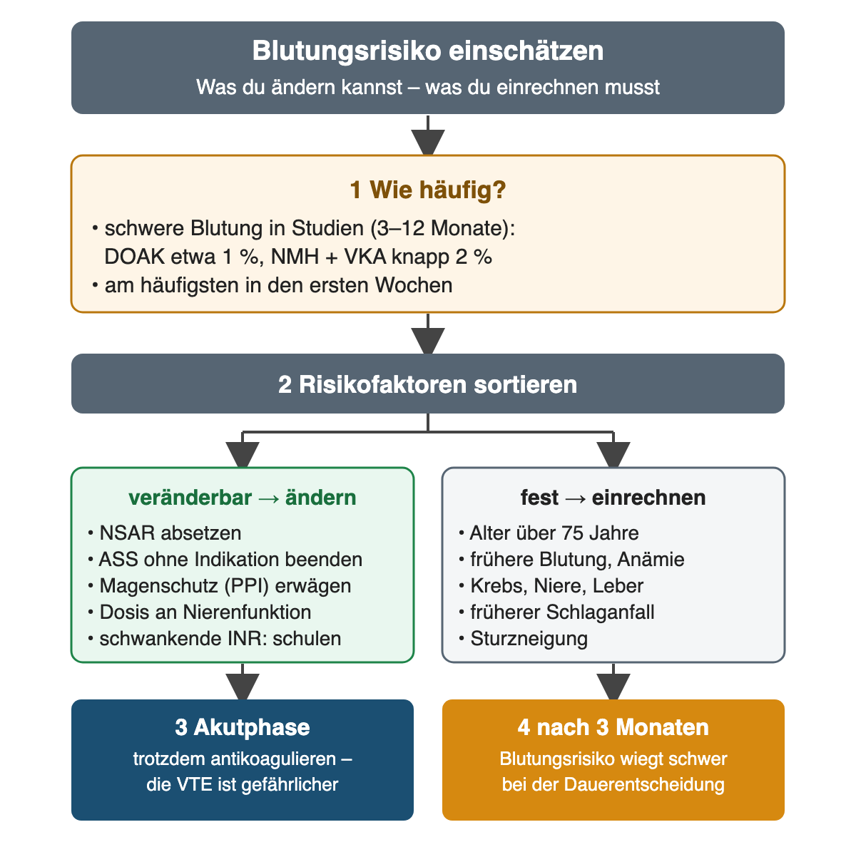 Oben die Häufigkeit schwerer Blutungen in Studien: DOAK etwa 1 %, NMH plus VKA knapp 2 %, am häufigsten in den ersten Wochen. Darunter zwei Spalten: veränderbare Faktoren wie NSAR, ASS ohne Indikation, fehlender Magenschutz, nicht angepasste Dosis und schwankende INR, die geändert werden; feste Faktoren wie Alter über 75 Jahre, frühere Blutung, Krebs, Niere, Leber, früherer Schlaganfall und Sturzneigung, die eingerechnet werden. Unten: in der Akutphase trotzdem antikoagulieren; nach 3 Monaten wiegt das Blutungsrisiko bei der Dauerentscheidung schwer.