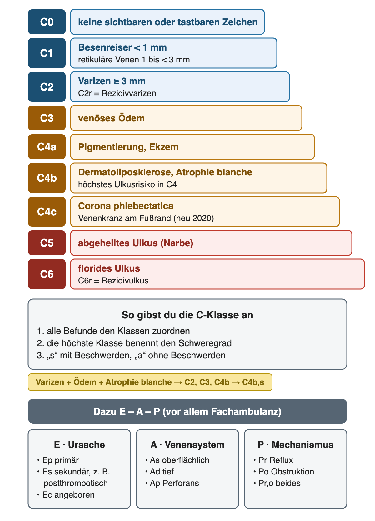 Treppe der CEAP-C-Klassen, jede Stufe breiter: blau C0 keine sichtbaren oder tastbaren Zeichen, C1 Besenreiser unter 1 mm und retikuläre Venen 1 bis unter 3 mm, C2 Varizen ab 3 mm und C2r Rezidivvarizen; ocker C3 venöses Ödem, C4a Pigmentierung und Ekzem, C4b Dermatoliposklerose und Atrophie blanche mit höchstem Ulkusrisiko in C4, C4c Corona phlebectatica, neu 2020; rot C5 abgeheiltes Ulkus, C6 florides Ulkus und C6r Rezidivulkus. Darunter drei Regeln: alle Befunde zuordnen, höchste Klasse benennt den Schweregrad, s mit und a ohne Beschwerden; Beispiel Varizen plus Ödem plus Atrophie blanche gleich C2, C3, C4b, also C4b,s. Unten E, A und P: Ep primär, Es sekundär, Ec angeboren; As oberflächlich, Ad tief, Ap Perforans; Pr Reflux, Po Obstruktion, Pr,o beides.