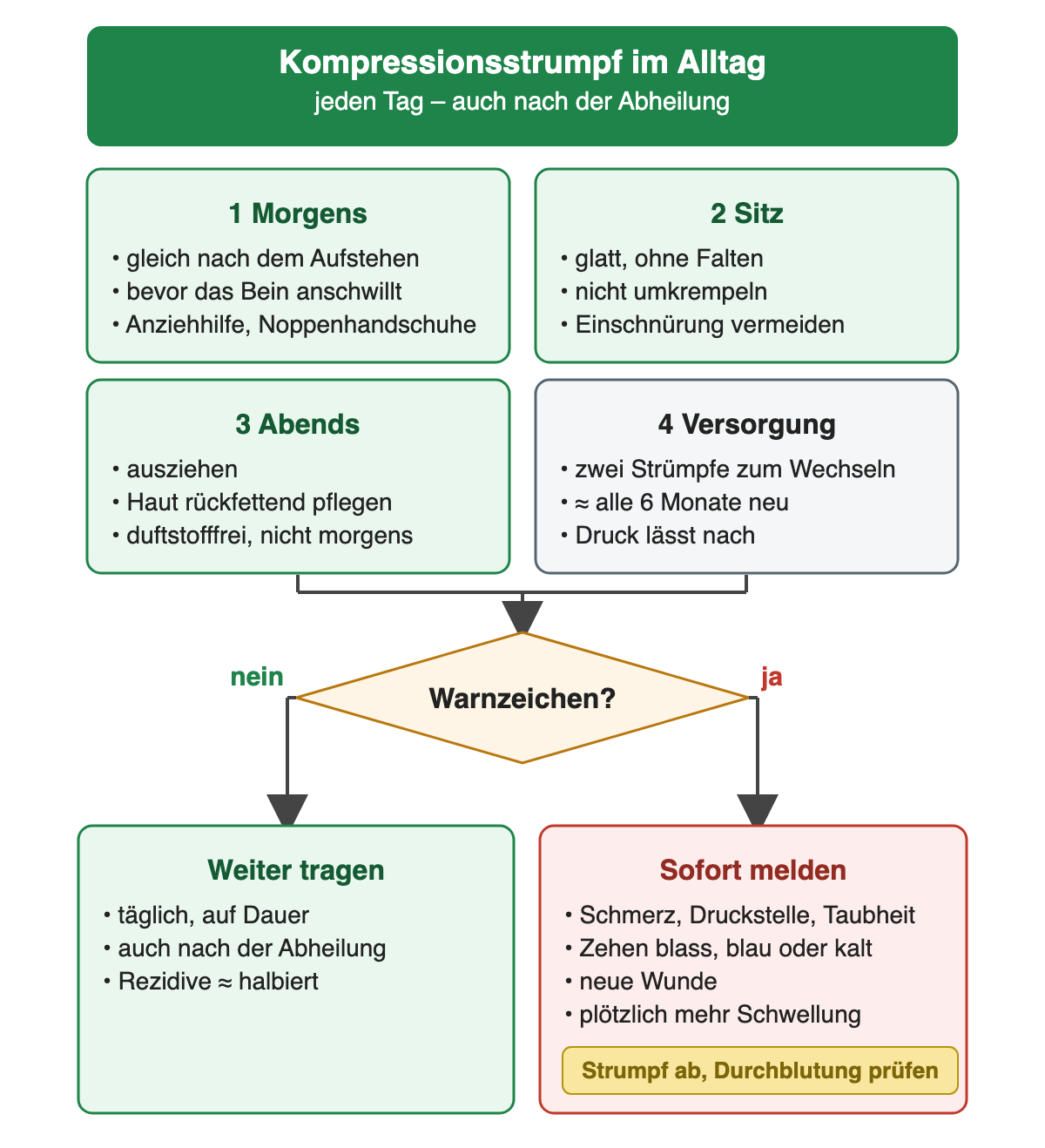 Diagramm Kompressionsstrumpf im Alltag, jeden Tag auch nach der Abheilung, mit vier Kästen: 1 morgens gleich nach dem Aufstehen, bevor das Bein anschwillt, mit Anziehhilfe und Noppenhandschuhen; 2 Sitz glatt ohne Falten, nicht umkrempeln, Einschnürung vermeiden; 3 abends ausziehen, Haut rückfettend und duftstofffrei pflegen, nicht morgens; 4 Versorgung mit zwei Strümpfen zum Wechseln, etwa alle 6 Monate neu, weil der Druck nachlässt. Raute Warnzeichen? Nein: weiter tragen, täglich auf Dauer, Rezidive etwa halbiert. Ja: sofort melden bei Schmerz, Druckstelle, Taubheit, blassen, blauen oder kalten Zehen, neuer Wunde oder plötzlich mehr Schwellung; Strumpf ab und Durchblutung prüfen.