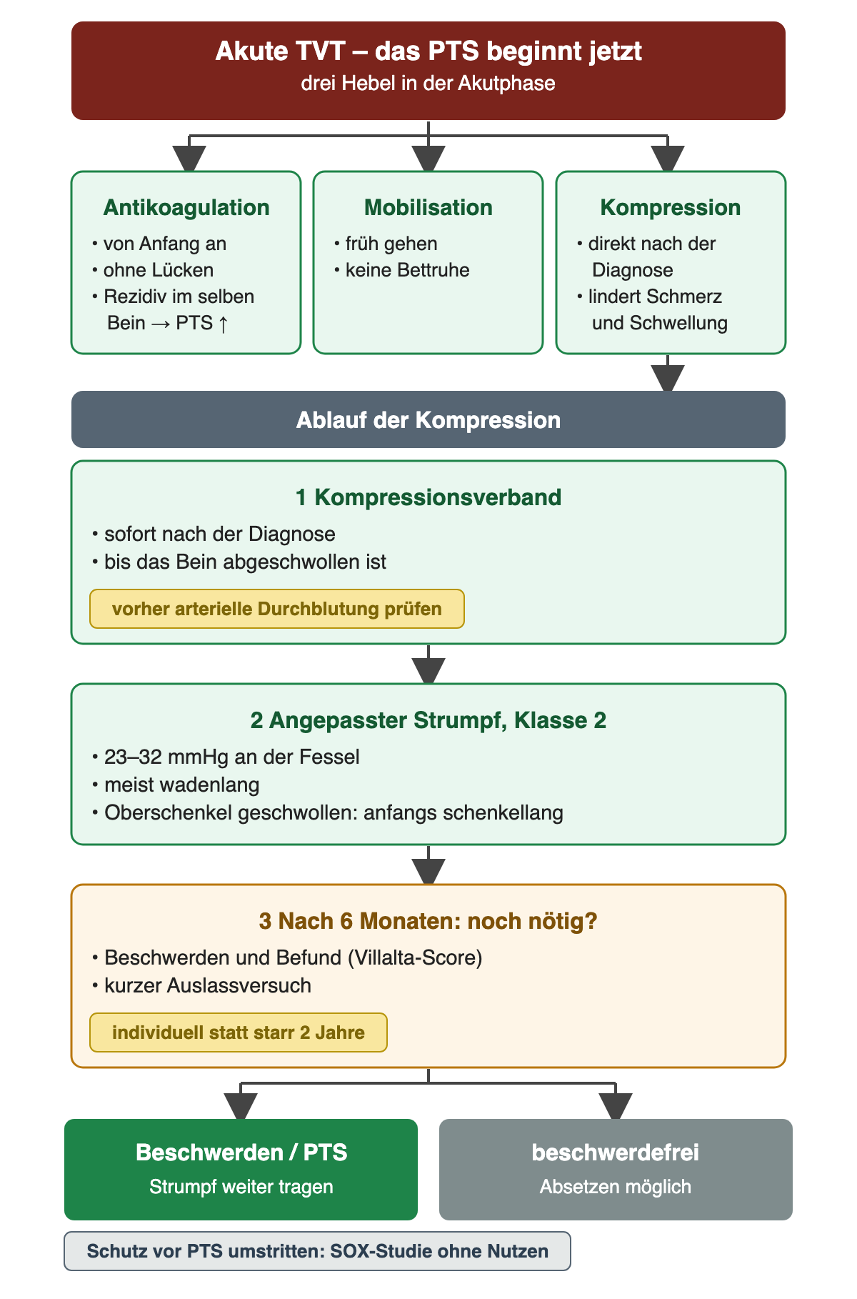 Flussdiagramm PTS vorbeugen: oben rot akute TVT, drei grüne Hebel Antikoagulation von Anfang an ohne Lücken (Rezidiv im selben Bein erhöht das PTS-Risiko), Mobilisation früh ohne Bettruhe, Kompression direkt nach der Diagnose. Ablauf der Kompression: 1 Kompressionsverband sofort nach der Diagnose bis zur Abschwellung, vorher arterielle Durchblutung prüfen; 2 angepasster Strumpf Klasse 2 mit 23 bis 32 mmHg an der Fessel, meist wadenlang, bei Oberschenkelschwellung anfangs schenkellang; 3 nach 6 Monaten Bedarf prüfen mit Beschwerden, Befund und Villalta-Score sowie kurzem Auslassversuch, individuell statt starr 2 Jahre. Ergebnis: bei Beschwerden oder PTS weiter tragen, beschwerdefrei absetzen möglich. Hinweis: Schutz vor PTS umstritten, SOX-Studie ohne Nutzen.