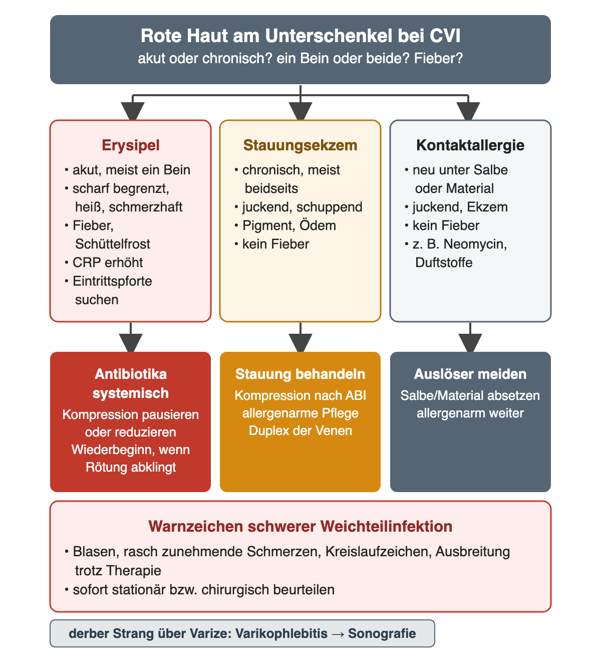 Vergleichsdiagramm rote Haut am Unterschenkel bei CVI mit drei Spalten: Erysipel akut, meist ein Bein, scharf begrenzt, heiß, schmerzhaft, Fieber, Schüttelfrost, CRP erhöht, Eintrittspforte suchen; Stauungsekzem chronisch, meist beidseits, juckend, schuppend, Pigment, Ödem, kein Fieber; Kontaktallergie neu unter Salbe oder Material, juckend, Ekzem, kein Fieber, zum Beispiel Neomycin oder Duftstoffe. Darunter die Maßnahmen: Antibiotika systemisch, Kompression pausieren oder reduzieren und wieder beginnen, wenn die Rötung abklingt; Stauung behandeln mit Kompression nach ABI, allergenarmer Pflege und Duplex; Auslöser meiden. Roter Kasten: Warnzeichen schwerer Weichteilinfektion sind Blasen, rasch zunehmende Schmerzen, Kreislaufzeichen und Ausbreitung trotz Therapie, dann sofort stationär bzw. chirurgisch beurteilen. Hinweis: derber Strang über einer Varize ist eine Varikophlebitis, dann Sonografie.