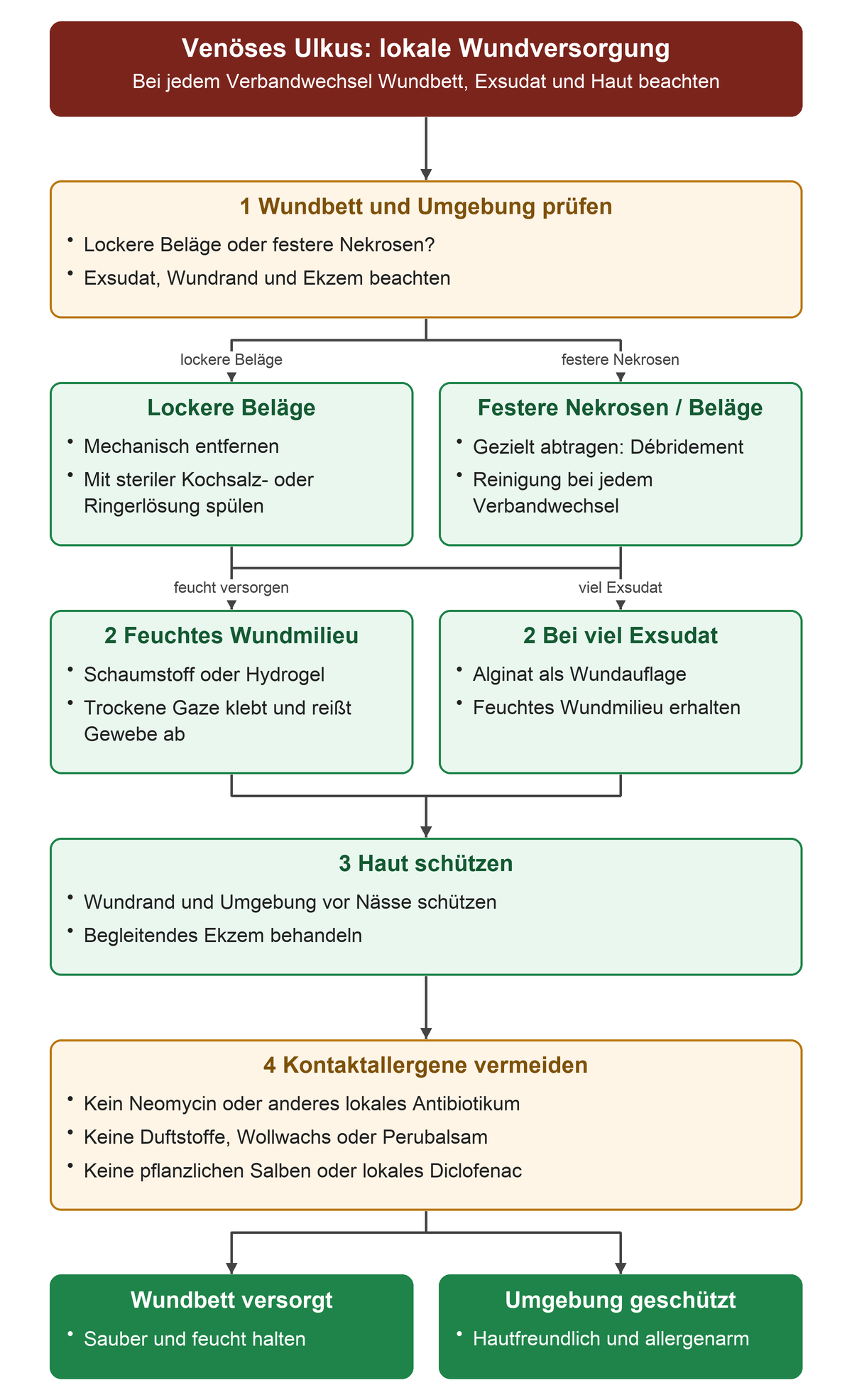 Bei jedem Verbandwechsel werden Wundbett und Exsudat geprüft. Lockere Beläge werden mechanisch entfernt und gespült, festere Nekrosen gezielt abgetragen. Schaumstoff oder Hydrogel halten die Wunde feucht; bei viel Exsudat ist Alginat eine Möglichkeit. Anschließend werden Wundrand und Umgebung geschützt und Allergene vermieden.
