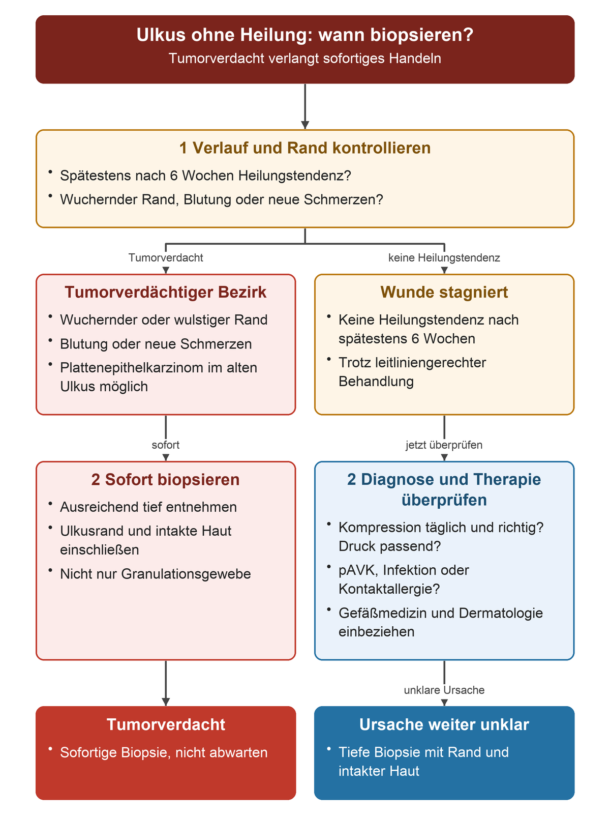 Zuerst werden Verlauf und Ulkusrand geprüft. Wuchernder oder wulstiger Rand, Blutung und neue Schmerzen führen bei Tumorverdacht sofort zur Biopsie. Ohne Heilungstendenz nach spätestens sechs Wochen werden Kompression, Druck und Adhärenz sowie pAVK, Infektion und Kontaktallergie geprüft; Gefäßmedizin und Dermatologie werden einbezogen. Bei unklarer Ursache erfolgt eine ausreichend tiefe Biopsie mit Rand und intakter Haut.