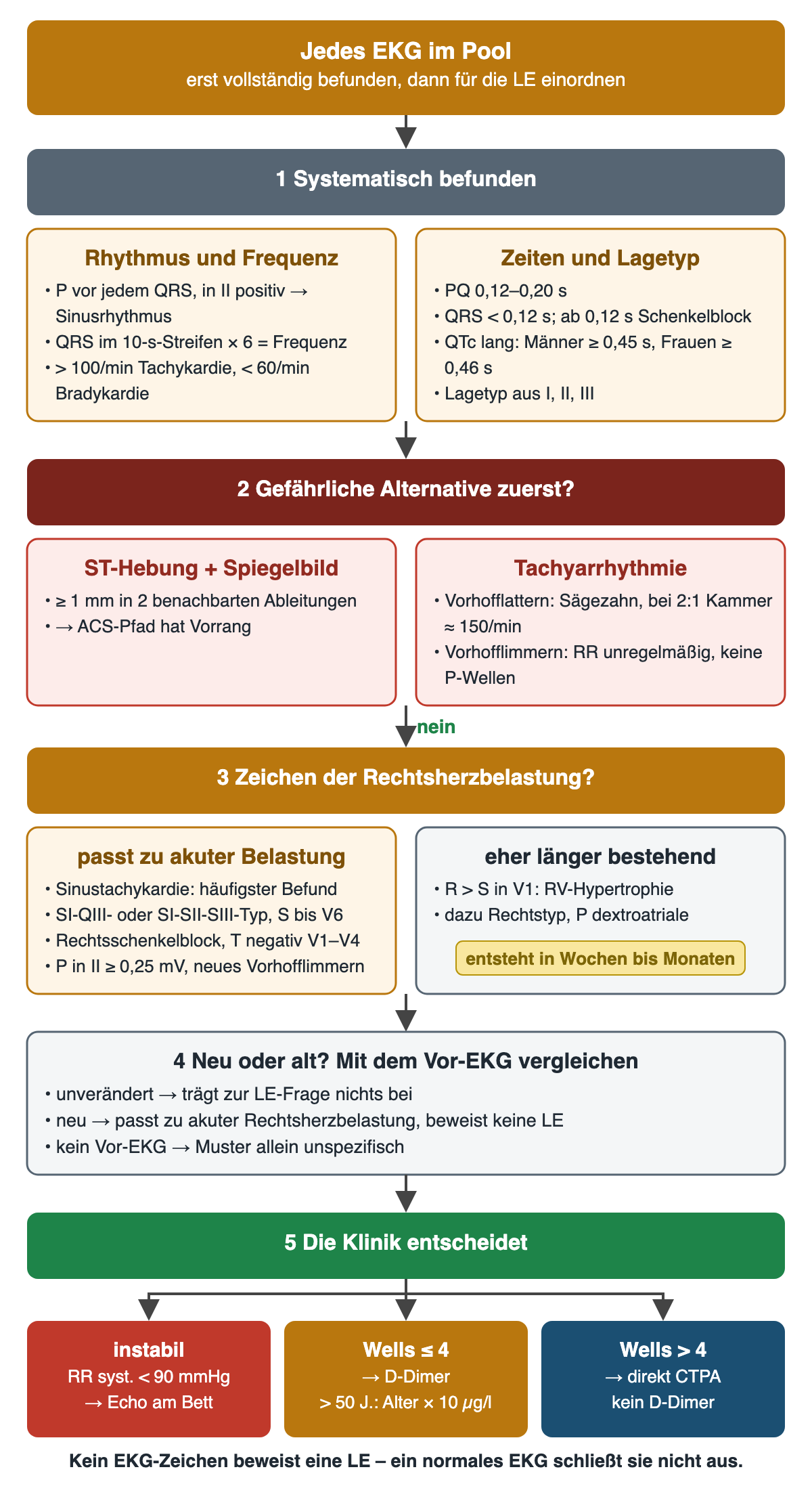 Fünf nummerierte Stufen mit Pfeilen unter der Überschrift „Jedes EKG im Pool“. 1 Systematisch befunden mit zwei Kästen: Rhythmus und Frequenz – P vor jedem QRS und in II positiv bedeutet Sinusrhythmus, QRS im 10-Sekunden-Streifen mal 6 ergibt die Frequenz, über 100/min Tachykardie, unter 60/min Bradykardie; Zeiten und Lagetyp – PQ 0,12 bis 0,20 s, QRS unter 0,12 s, ab 0,12 s Schenkelblock, QTc verlängert bei Männern ab 0,45 s und bei Frauen ab 0,46 s, Lagetyp aus I, II und III. 2 Gefährliche Alternative zuerst: ST-Hebung ab 1 mm in zwei benachbarten Ableitungen mit Spiegelbild – ACS-Pfad hat Vorrang; Tachyarrhythmie – Vorhofflattern mit Sägezahn und bei 2:1 Kammerfrequenz um 150/min, Vorhofflimmern mit unregelmäßigen RR-Abständen ohne P-Wellen. Pfeil „nein“ zu 3 Zeichen der Rechtsherzbelastung: passt zu akuter Belastung – Sinustachykardie als häufigster Befund, SI-QIII- oder SI-SII-SIII-Typ mit S bis V6, Rechtsschenkelblock, T negativ in V1 bis V4, P in II ab 0,25 mV, neues Vorhofflimmern; eher länger bestehend – R größer als S in V1 als RV-Hypertrophie mit Rechtstyp und P dextroatriale, entsteht in Wochen bis Monaten. 4 Neu oder alt im Vergleich mit dem Vor-EKG: unverändert trägt nichts bei, neu passt zu akuter Rechtsherzbelastung und beweist keine LE, ohne Vor-EKG ist das Muster unspezifisch. 5 Die Klinik entscheidet mit drei Ergebnissen: instabil bei RR systolisch unter 90 mmHg – Echo am Bett; Wells bis 4 – D-Dimer, über 50 Jahre Grenzwert Alter mal 10 µg/l; Wells über 4 – direkt CTPA ohne D-Dimer. Darunter: Kein EKG-Zeichen beweist eine LE – ein normales EKG schließt sie nicht aus.