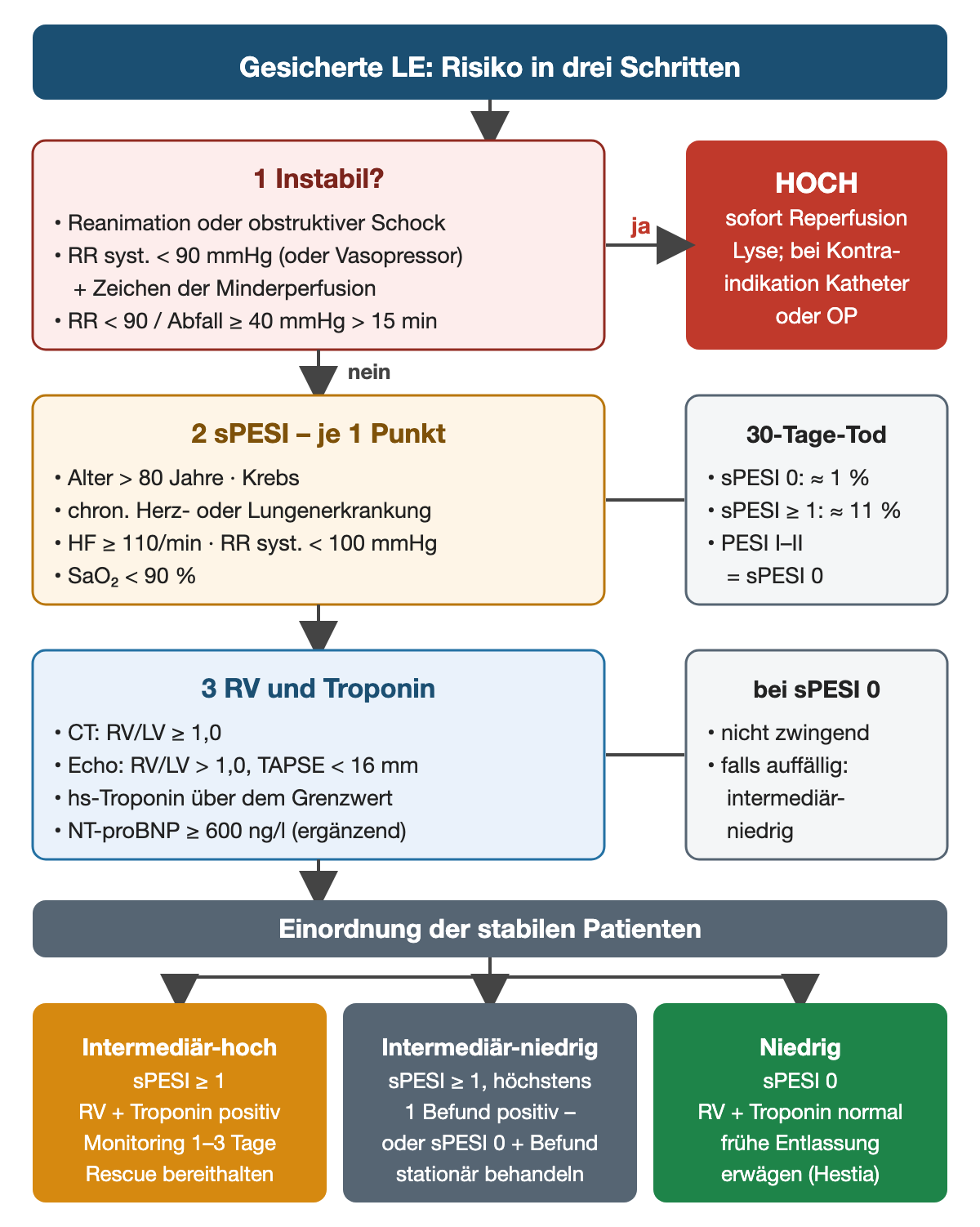Stufenschema in drei Schritten: 1 Instabil? Reanimation, obstruktiver Schock mit RR unter 90 mmHg oder Vasopressor plus Minderperfusion, anhaltender Abfall – bei ja Kasten HOCH mit sofortiger Reperfusion; bei nein 2 sPESI mit je einem Punkt für Alter über 80, Krebs, chronische Herz- oder Lungenerkrankung, Herzfrequenz ab 110, RR unter 100 und SaO2 unter 90 %, daneben 30-Tage-Sterblichkeit etwa 1 % bei 0 und etwa 11 % ab 1 Punkt; 3 RV und Troponin mit CT RV/LV ab 1,0, Echo RV/LV über 1,0 und TAPSE unter 16 mm, hs-Troponin, NT-proBNP ab 600 ng/l; unten drei farbige Ergebniskästen intermediär-hoch, intermediär-niedrig und niedrig mit ihren Bedingungen und Konsequenzen