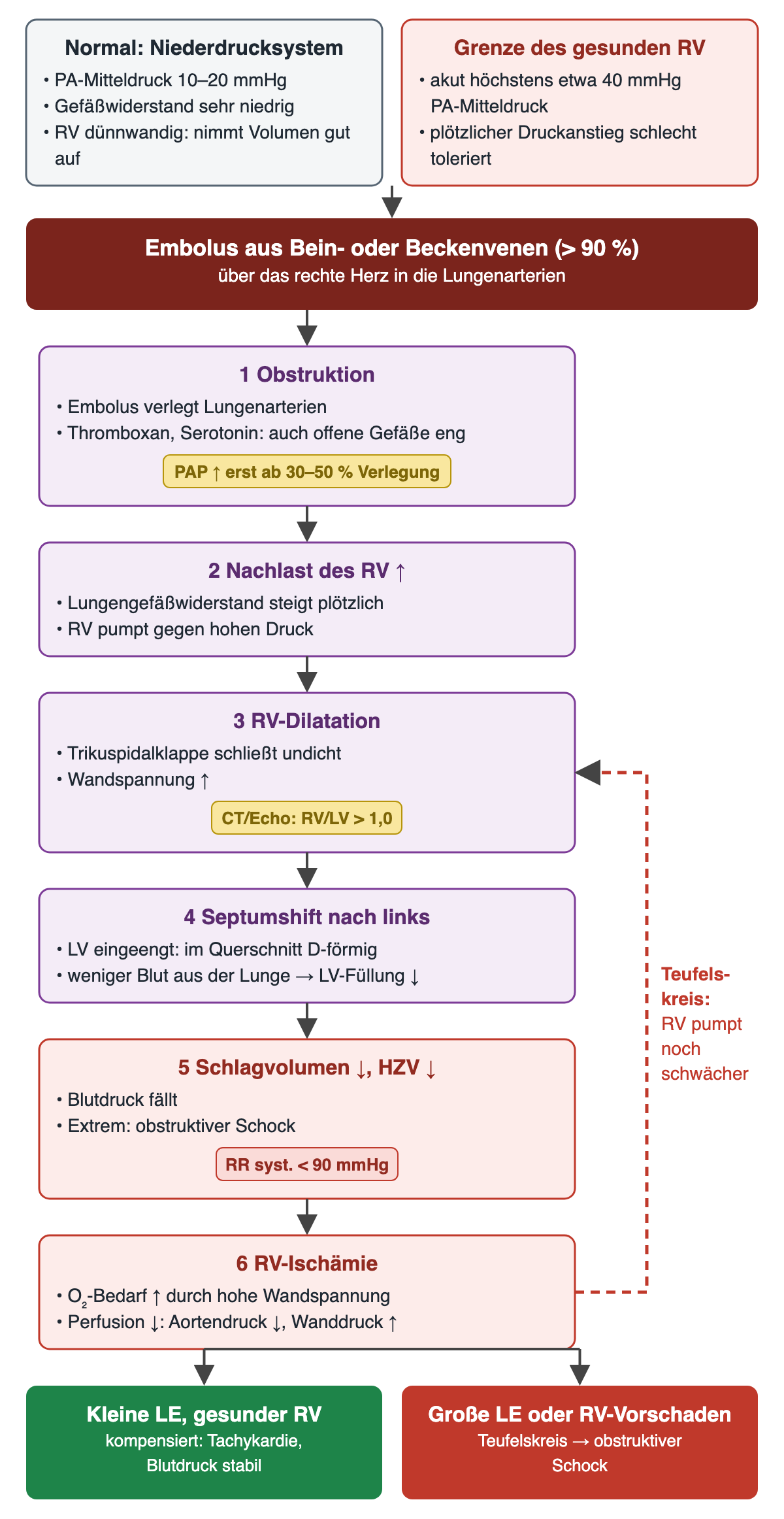 Oben zwei Kästen zum Normalzustand (pulmonalarterieller Mitteldruck 10–20 mmHg, dünnwandiger RV) und zur Grenze des gesunden RV (akut höchstens etwa 40 mmHg); darunter der Embolus aus Bein- oder Beckenvenen und sechs nummerierte Schritte: Obstruktion, Nachlast des RV steigt, RV-Dilatation, Septumshift nach links, Schlagvolumen und HZV fallen, RV-Ischämie; ein gestrichelter roter Pfeil führt von der RV-Ischämie zurück zur RV-Dilatation (Teufelskreis); unten zwei Ergebnisse: kleine LE bei gesundem RV kompensiert, große LE oder Vorschaden führt zum obstruktiven Schock