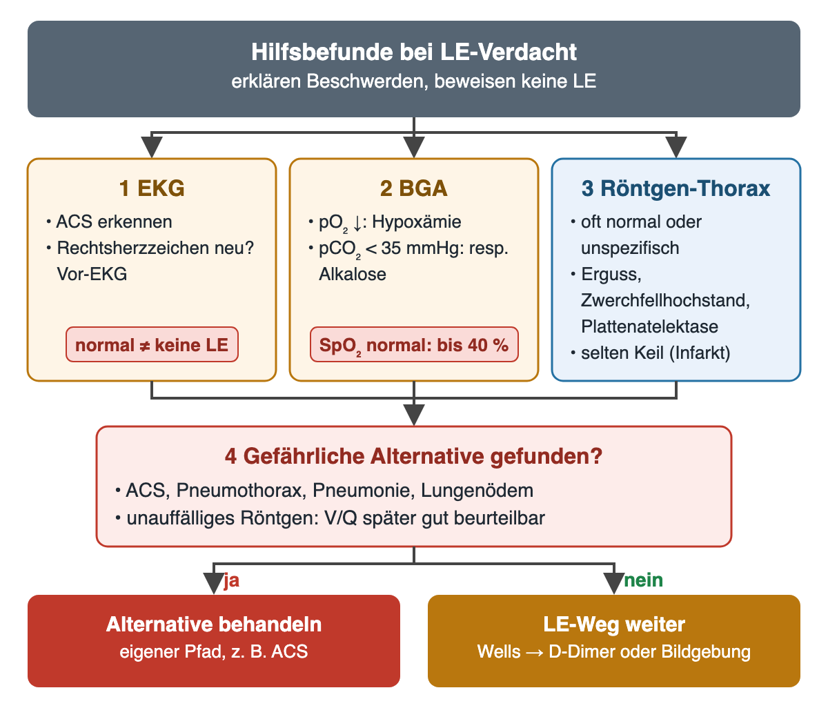 Drei nummerierte Hilfsbefunde nebeneinander: EKG erkennt ACS und neue Rechtsherzzeichen, ein normales EKG schließt LE nicht aus; BGA mit Hypoxämie und pCO₂ unter 35 mmHg, normale SpO₂ bei bis zu 40 %; Röntgen-Thorax oft normal oder unspezifisch mit Erguss, Zwerchfellhochstand, Plattenatelektase, selten keilförmiger Infarkt. Schritt 4 fragt nach einer gefährlichen Alternative: ja führt zu deren Behandlung, nein zum LE-Weg mit Wells, D-Dimer oder Bildgebung