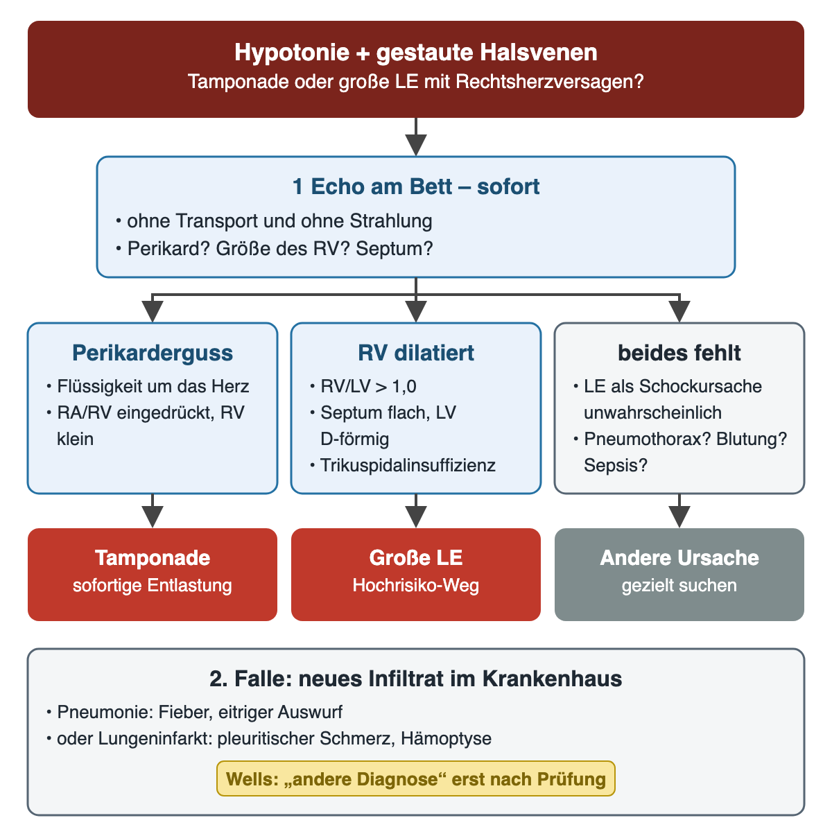 Bei Hypotonie mit gestauten Halsvenen folgt sofort die Echokardiografie am Bett. Drei Befunde: Perikarderguss mit eingedrücktem rechtem Herzen führt zur Tamponade und sofortigen Entlastung; dilatierter RV mit RV/LV über 1,0, flachem Septum und Trikuspidalinsuffizienz führt zur großen LE und zum Hochrisiko-Weg; fehlt beides, ist die LE als Schockursache unwahrscheinlich. Unten die zweite Falle: ein neues Infiltrat kann Pneumonie oder Lungeninfarkt sein