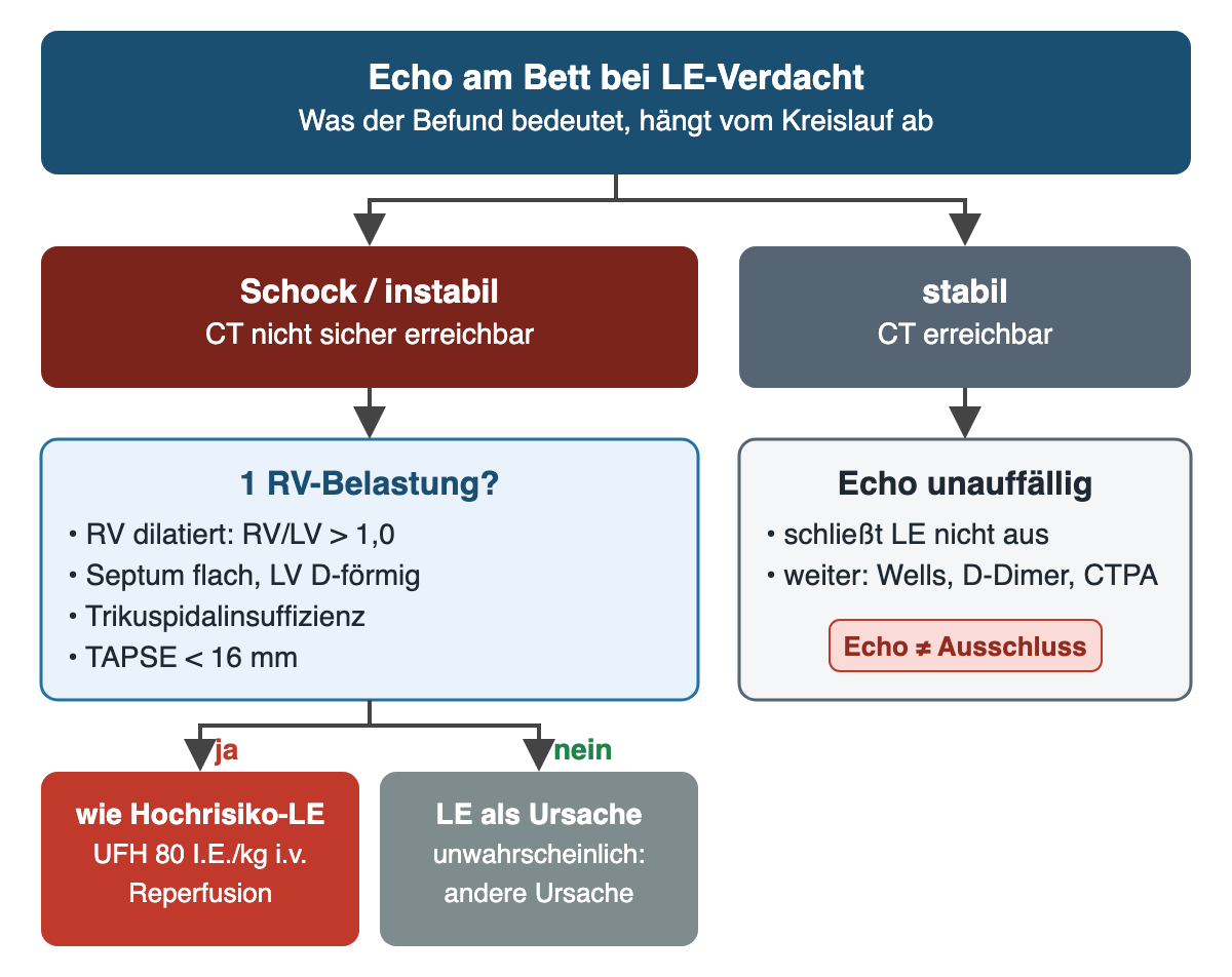 Die Bedeutung des Echos am Bett hängt vom Kreislauf ab. Links Schock oder instabil: Schritt 1 sucht RV-Belastung (RV/LV über 1,0, flaches Septum, Trikuspidalinsuffizienz, TAPSE unter 16 mm); ja führt zur Behandlung wie Hochrisiko-LE mit UFH 80 I.E./kg und Reperfusion, nein macht die LE als Ursache unwahrscheinlich. Rechts stabil: ein unauffälliges Echo schließt die LE nicht aus, weiter mit Wells, D-Dimer und CTPA