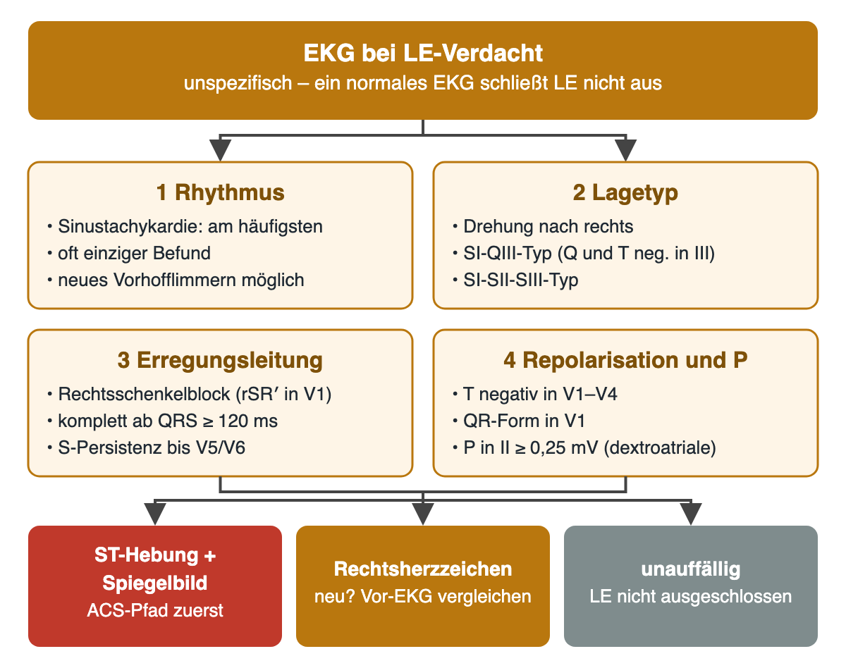 EKG bei LE-Verdacht, unspezifisch. Vier nummerierte Kästen: Rhythmus (Sinustachykardie am häufigsten, oft einziger Befund, neues Vorhofflimmern möglich), Lagetyp (Drehung nach rechts, SI-QIII-Typ, SI-SII-SIII-Typ), Erregungsleitung (Rechtsschenkelblock, komplett ab QRS 120 ms, S-Persistenz bis V5/V6), Repolarisation und P (T negativ in V1–V4, QR-Form in V1, P in II mindestens 0,25 mV). Unten drei Konsequenzen: ST-Hebung mit Spiegelbild führt zuerst in den ACS-Pfad, Rechtsherzzeichen mit Vor-EKG vergleichen, unauffälliges EKG schließt LE nicht aus
