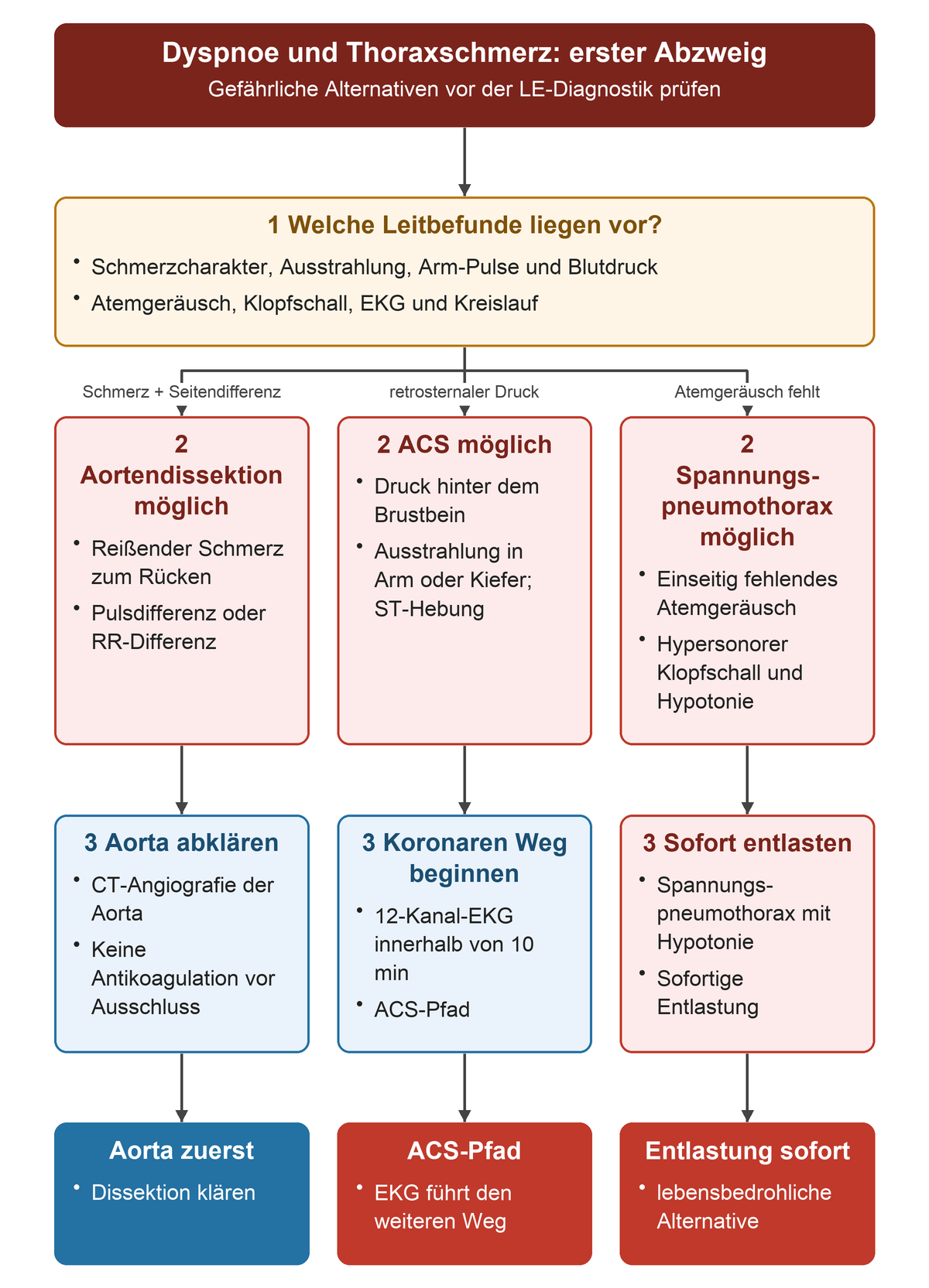 Bei plötzlicher Dyspnoe oder Thoraxschmerz werden vor dem LE-Pfad gefährliche Alternativen geprüft. Reißender Schmerz mit Puls- oder Blutdruckdifferenz führt zur Aorten-CT und zunächst keiner Antikoagulation. Retrosternaler Druck mit Ausstrahlung führt zum EKG binnen zehn Minuten und ACS-Pfad. Einseitig fehlendes Atemgeräusch mit Hypotonie führt zur sofortigen Entlastung eines Spannungspneumothorax.