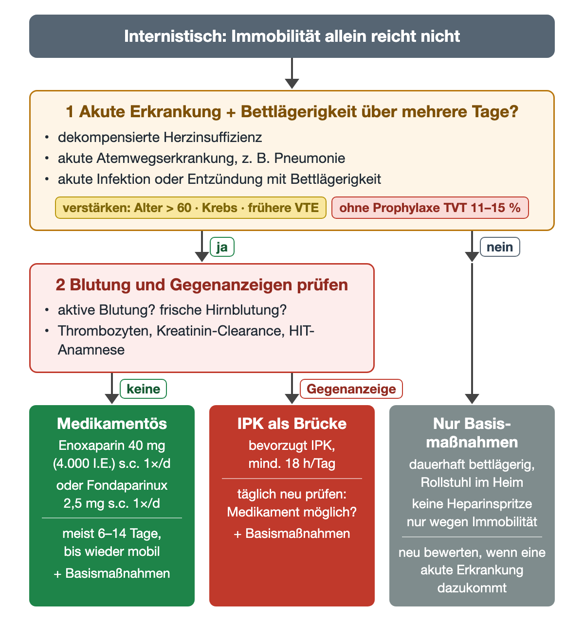 Flussdiagramm: Frage 1, ob eine akute Erkrankung mit Bettlägerigkeit über mehrere Tage vorliegt, etwa dekompensierte Herzinsuffizienz, akute Atemwegserkrankung oder akute Infektion; Hinweise: Alter über 60, Krebs und frühere VTE verstärken, ohne Prophylaxe TVT bei 11–15 %. Bei ja folgt 2 Blutung und Gegenanzeigen prüfen; ohne Gegenanzeige grünes Ergebnis medikamentös mit Enoxaparin 40 mg oder Fondaparinux 2,5 mg für meist 6–14 Tage plus Basismaßnahmen, bei Gegenanzeige rotes Ergebnis IPK als Brücke mit mindestens 18 Stunden pro Tag und täglicher Neubewertung. Bei nein graues Ergebnis nur Basismaßnahmen, keine Heparinspritze nur wegen Immobilität.