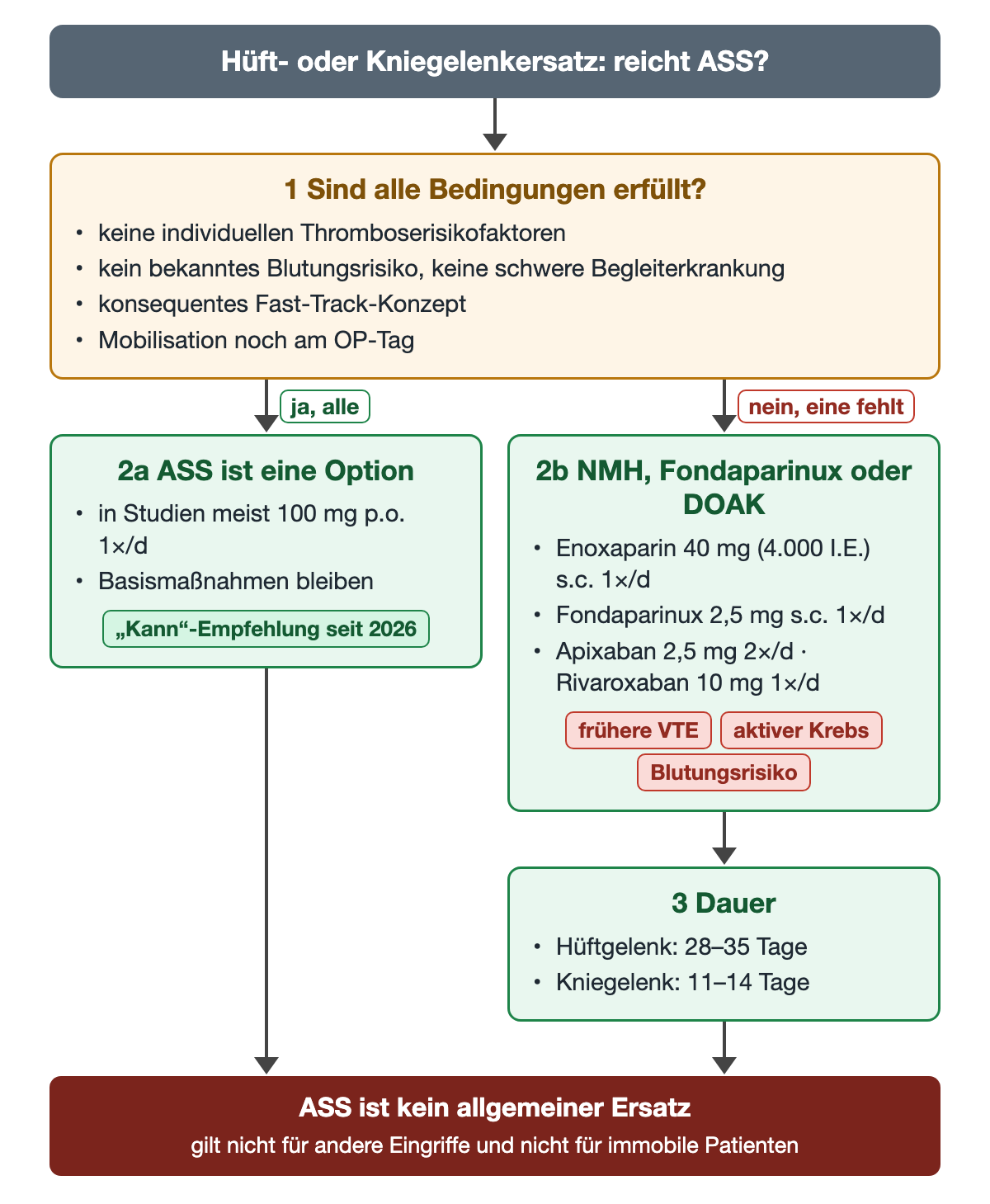 Flussdiagramm nach Hüft- oder Kniegelenkersatz: 1 Sind alle Bedingungen erfüllt – keine individuellen Thromboserisikofaktoren, kein bekanntes Blutungsrisiko und keine schwere Begleiterkrankung, konsequentes Fast-Track-Konzept, Mobilisation noch am OP-Tag? Bei ja, alle: 2a ASS ist eine Option, in Studien meist 100 mg p.o. einmal täglich, Basismaßnahmen bleiben, Kann-Empfehlung seit 2026. Bei nein, eine fehlt (z. B. frühere VTE, aktiver Krebs, Blutungsrisiko): 2b NMH, Fondaparinux oder DOAK mit Enoxaparin 40 mg, Fondaparinux 2,5 mg, Apixaban 2,5 mg zweimal oder Rivaroxaban 10 mg einmal täglich, dann 3 Dauer: Hüftgelenk 28–35 Tage, Kniegelenk 11–14 Tage. Unten dunkelrot: ASS ist kein allgemeiner Ersatz, gilt nicht für andere Eingriffe und nicht für immobile Patienten.
