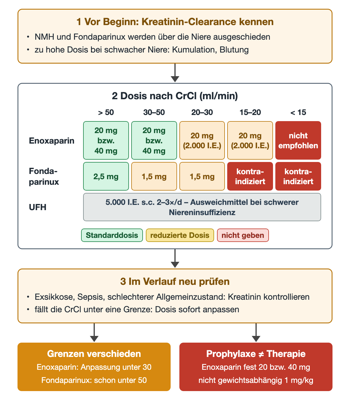 1 Vor Beginn Kreatinin-Clearance kennen, weil NMH und Fondaparinux renal ausgeschieden werden und kumulieren. 2 Farbige Dosisleiter nach CrCl in ml/min mit den Spalten über 50, 30–50, 20–30, 15–20 und unter 15: Enoxaparin 20 bzw. 40 mg bis 30, dann 20 mg (2.000 I.E.), unter 15 nicht empfohlen; Fondaparinux 2,5 mg über 50, 1,5 mg bei 20–50, darunter kontraindiziert; UFH 5.000 I.E. s.c. 2- bis 3-mal täglich durchgehend als Ausweichmittel. Grün Standarddosis, gelb reduzierte Dosis, rot nicht geben. 3 Im Verlauf neu prüfen, bei Exsikkose, Sepsis oder schlechterem Allgemeinzustand Kreatinin kontrollieren. Ergebnisfelder: Grenzen verschieden (Enoxaparin unter 30, Fondaparinux schon unter 50) und Prophylaxe ungleich Therapie (fest 20 bzw. 40 mg, nicht 1 mg/kg).