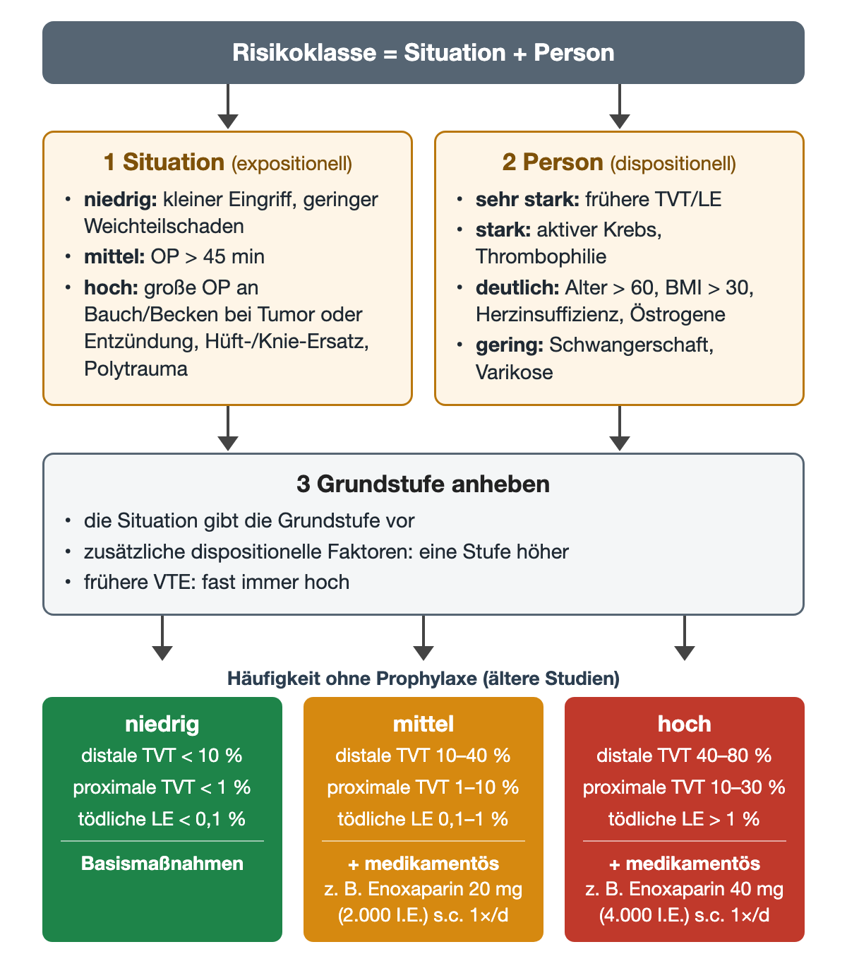 Oben zwei Kästen: 1 Situation (expositionell) mit Beispielen für niedriges, mittleres und hohes Risiko, 2 Person (dispositionell) mit sehr starken, starken, deutlichen und geringen Faktoren. Beide führen zu 3 Grundstufe anheben: Die Situation gibt die Grundstufe vor, zusätzliche Faktoren heben eine Stufe, frühere VTE fast immer hoch. Unten drei farbige Ergebnisfelder mit Häufigkeiten ohne Prophylaxe und Konsequenz: niedrig (distale TVT unter 10 %, proximale unter 1 %, tödliche LE unter 0,1 %; Basismaßnahmen), mittel (10–40 %, 1–10 %, 0,1–1 %; plus medikamentös, z. B. Enoxaparin 20 mg), hoch (40–80 %, 10–30 %, über 1 %; plus medikamentös, z. B. Enoxaparin 40 mg).