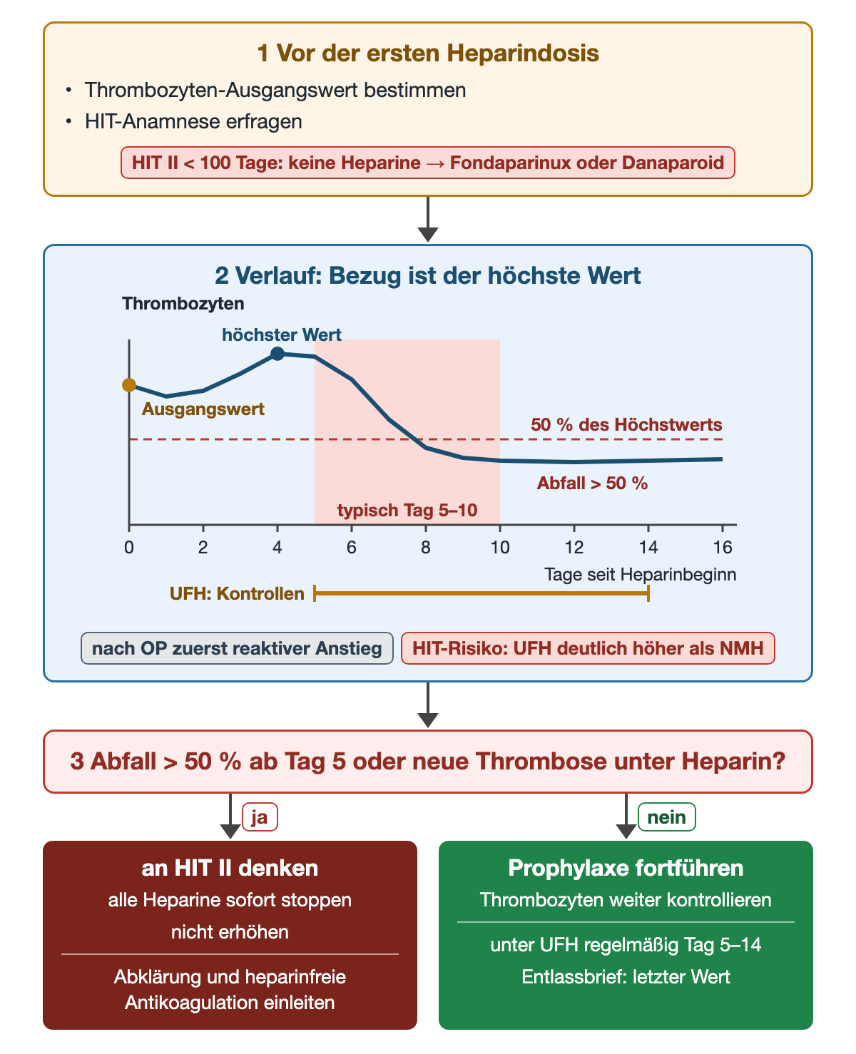 1 Vor der ersten Heparindosis Thrombozyten-Ausgangswert bestimmen und HIT-Anamnese erfragen; HIT II in den letzten 100 Tagen bedeutet keine Heparine, sondern Fondaparinux oder Danaparoid. 2 Verlaufskurve der Thrombozyten über 16 Tage: nach dem Ausgangswert reaktiver Anstieg bis zum höchsten Wert an Tag 4, dann im rot markierten typischen Zeitraum Tag 5–10 Abfall unter die gestrichelte Linie bei 50 % des Höchstwerts; darunter Klammer für Kontrollen unter UFH von Tag 5 bis 14; Hinweis HIT-Risiko unter UFH deutlich höher als unter NMH. 3 Abfall über 50 % ab Tag 5 oder neue Thrombose unter Heparin? Bei ja an HIT II denken, alle Heparine sofort stoppen, nicht erhöhen, Abklärung und heparinfreie Antikoagulation einleiten; bei nein Prophylaxe fortführen und weiter kontrollieren, letzter Wert in den Entlassbrief.