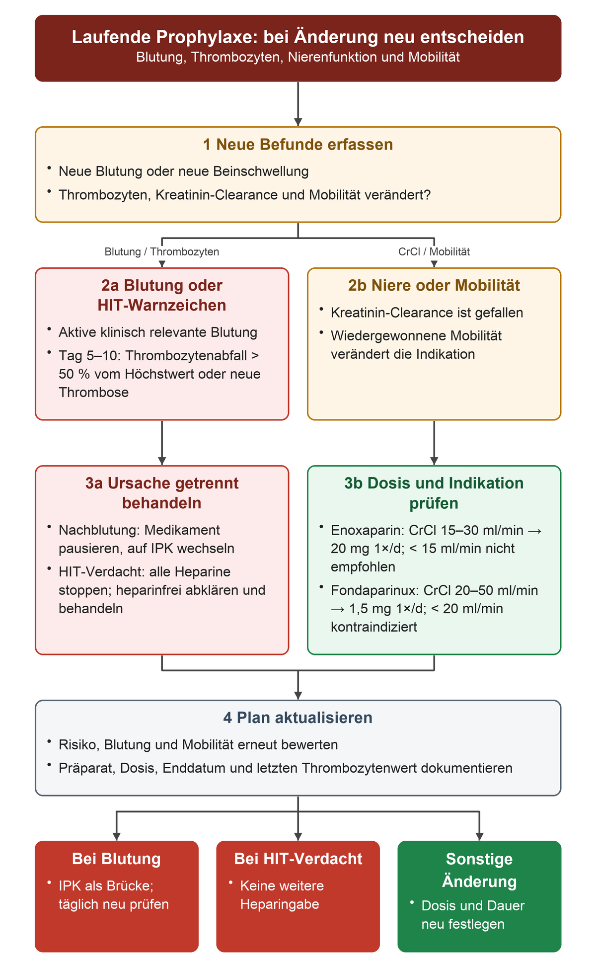 Neue Befunde unter Prophylaxe führen entweder zur Prüfung von Blutung und HIT-Warnzeichen oder von Nierenfunktion und Mobilität. Blutung führt zum Pausieren und zur IPK, HIT-Verdacht zum Stoppen aller Heparine; veränderte Kreatinin-Clearance führt zu den substanzspezifischen Dosisgrenzen. Der aktualisierte Plan dokumentiert Mittel, Dosis, Ende und Thrombozytenwert.