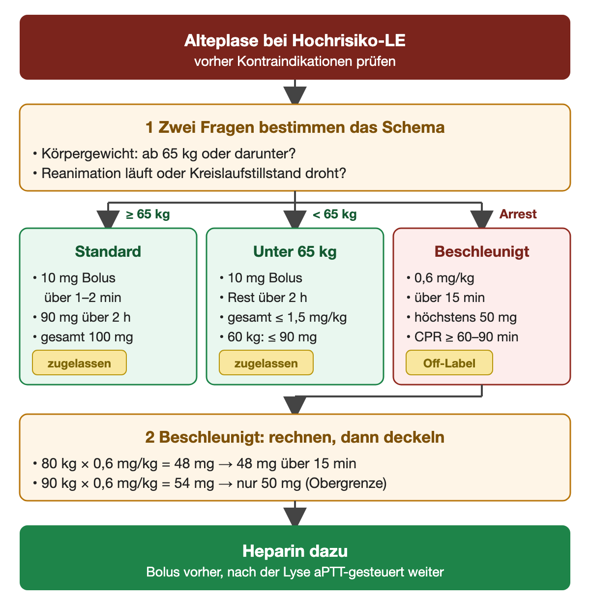 Flussdiagramm: Alteplase bei Hochrisiko-LE, vorher Kontraindikationen prüfen; 1 zwei Fragen nach Körpergewicht und Kreislaufstillstand; drei Äste: Standard ab 65 kg mit 10 mg Bolus über 1–2 min, 90 mg über 2 h, gesamt 100 mg, zugelassen; unter 65 kg mit 10 mg Bolus, Rest über 2 h, gesamt höchstens 1,5 mg pro kg, bei 60 kg höchstens 90 mg, zugelassen; beschleunigt bei Arrest mit 0,6 mg pro kg über 15 min, höchstens 50 mg, Reanimation 60–90 min fortsetzen, Off-Label; 2 Rechenbeispiele 80 kg ergibt 48 mg, 90 kg ergibt rechnerisch 54 mg, gegeben werden 50 mg; unten Heparin: Bolus vorher, nach der Lyse aPTT-gesteuert