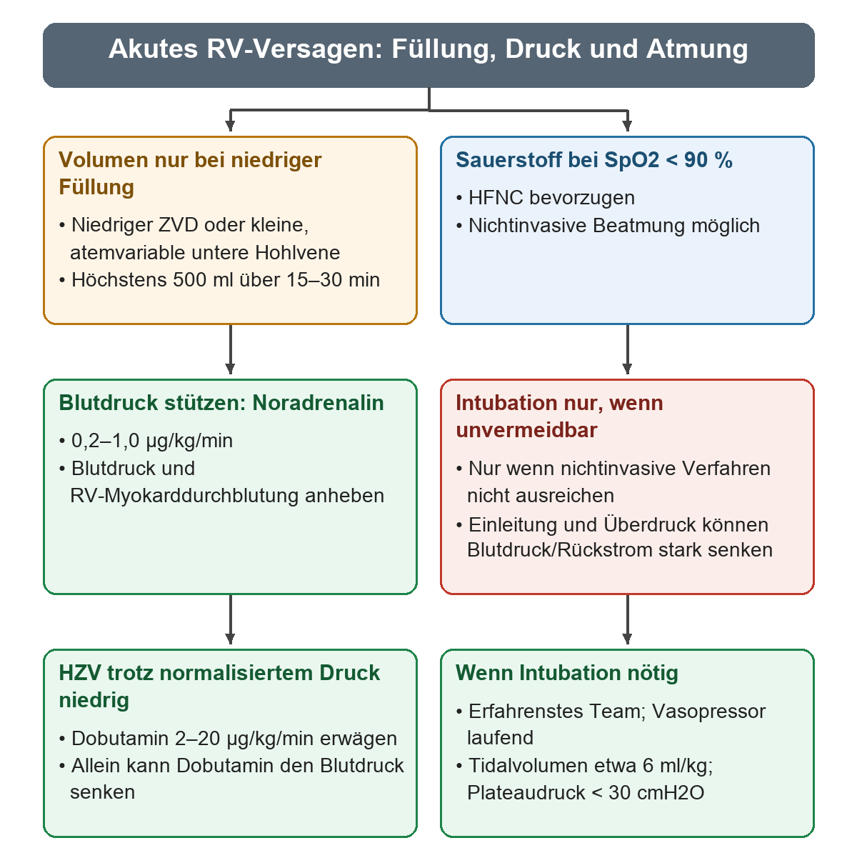 Zwei Spalten zeigen parallel Kreislauf und Atmung: links vorsichtige Volumengabe bei niedriger Füllung, Noradrenalin und gegebenenfalls Dobutamin; rechts Sauerstoff beziehungsweise nichtinvasive Unterstützung und nur bei unzureichendem Erfolg eine vorsichtige Intubation.