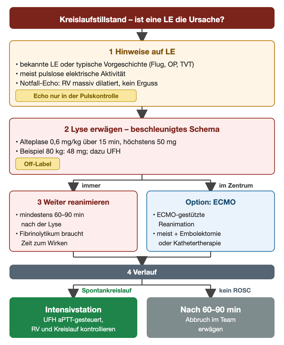 Flussdiagramm: Kreislaufstillstand – ist eine LE die Ursache? 1 Hinweise: bekannte LE oder typische Vorgeschichte, meist pulslose elektrische Aktivität, im Notfall-Echo massiv dilatierter RV ohne Erguss, Echo nur in der Pulskontrolle; 2 Lyse erwägen im beschleunigten Schema mit 0,6 mg pro kg über 15 min, höchstens 50 mg, bei 80 kg 48 mg, dazu UFH, Off-Label; dann links immer 3 weiter reanimieren mindestens 60–90 Minuten nach der Lyse, rechts im Zentrum ECMO-gestützte Reanimation mit Embolektomie oder Kathetertherapie; 4 Verlauf: bei Spontankreislauf Intensivstation mit UFH aPTT-gesteuert, ohne Spontankreislauf nach 60–90 Minuten Abbruch im Team erwägen