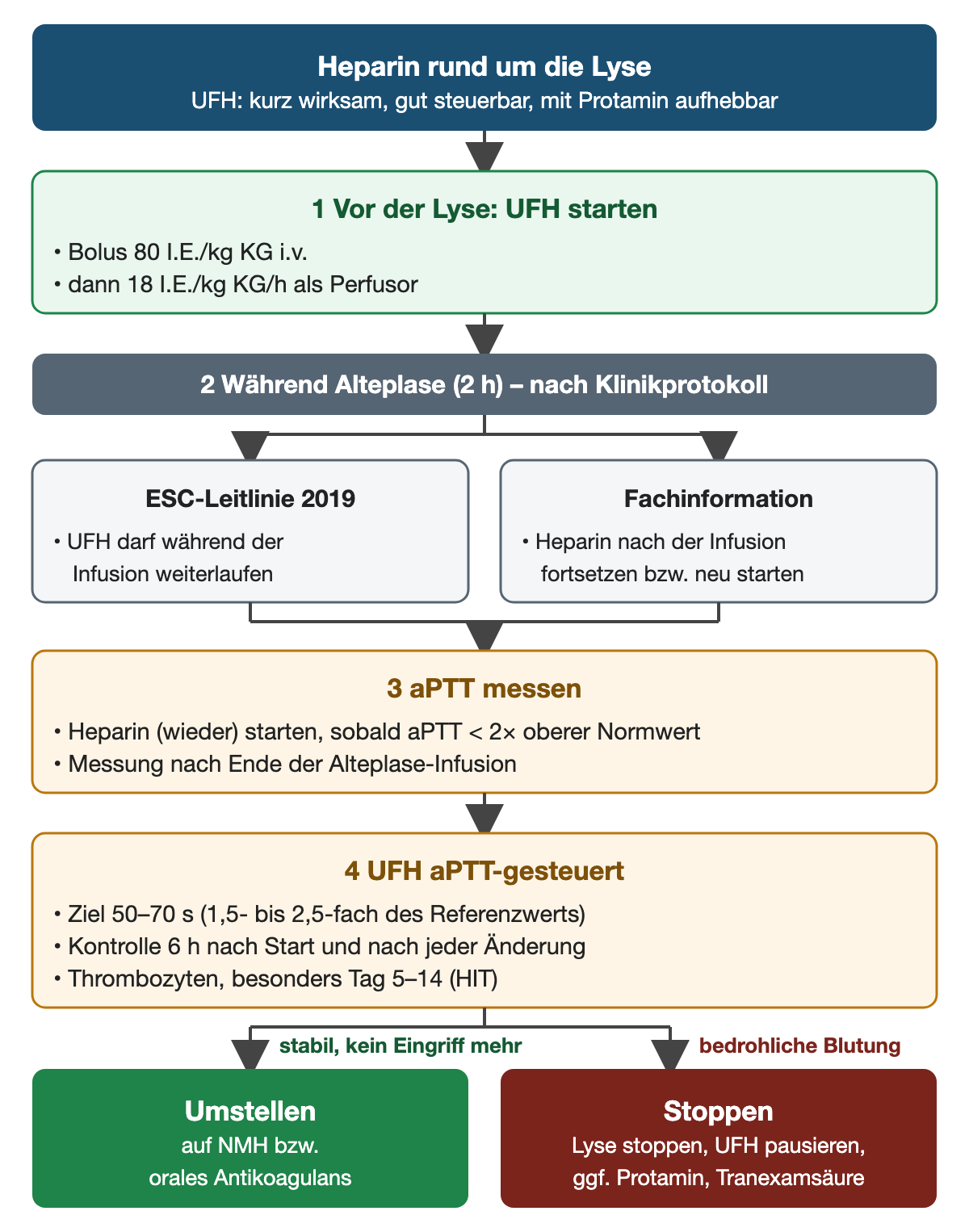 Zeitlicher Ablauf in vier Schritten: 1 vor der Lyse UFH-Bolus 80 I.E. pro kg, dann 18 I.E. pro kg und Stunde; 2 während der zweistündigen Alteplase-Infusion nach Klinikprotokoll – links ESC-Leitlinie 2019: UFH darf weiterlaufen, rechts Fachinformation: Heparin nach der Infusion fortsetzen bzw. neu starten; 3 aPTT messen, Heparin wieder starten, sobald die aPTT unter dem Zweifachen des oberen Normwerts liegt; 4 UFH aPTT-gesteuert mit Ziel 50–70 s, Kontrolle 6 h nach jeder Änderung, Thrombozyten besonders Tag 5–14; unten bei stabilem Patienten ohne weiteren Eingriff Umstellung auf NMH oder orales Antikoagulans, bei bedrohlicher Blutung Lyse stoppen, UFH pausieren, ggf. Protamin und Tranexamsäure