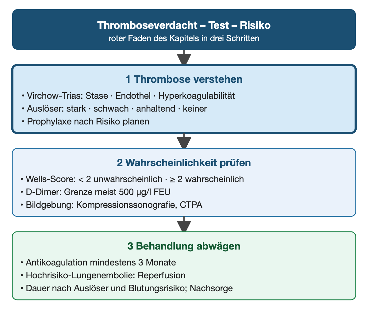 Drei untereinander stehende Kästen mit Pfeilen unter dem Kopf Thromboseverdacht, Test, Risiko: 1 Thrombose verstehen – Virchow-Trias, Auslöser stark, schwach, anhaltend oder keiner, Prophylaxe nach Risiko; 2 Wahrscheinlichkeit prüfen – Wells-Score unter 2 unwahrscheinlich, ab 2 wahrscheinlich, D-Dimer-Grenze meist 500 µg/l FEU, Kompressionssonografie und CTPA; 3 Behandlung abwägen – Antikoagulation mindestens 3 Monate, Reperfusion bei Hochrisiko-Lungenembolie, Dauer nach Auslöser und Blutungsrisiko, Nachsorge; der erste Kasten ist hervorgehoben