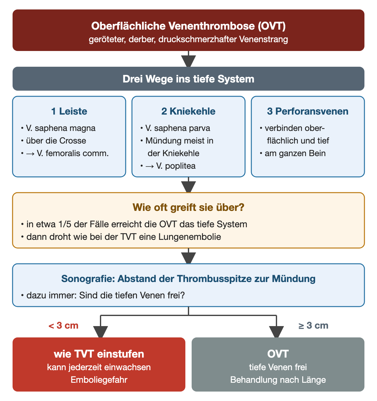 Flussdiagramm: oberflächliche Venenthrombose als geröteter, derber, druckschmerzhafter Venenstrang; drei Wege ins tiefe System – 1 Leiste über die Crosse der V. saphena magna in die V. femoralis communis, 2 Kniekehle über die V. saphena parva in die V. poplitea, 3 Perforansvenen am ganzen Bein; in etwa einem Fünftel der Fälle greift sie über; Sonografie misst den Abstand der Thrombusspitze zur Mündung und prüft die tiefen Venen; unter 3 cm Einstufung wie TVT, ab 3 cm bei freien tiefen Venen OVT