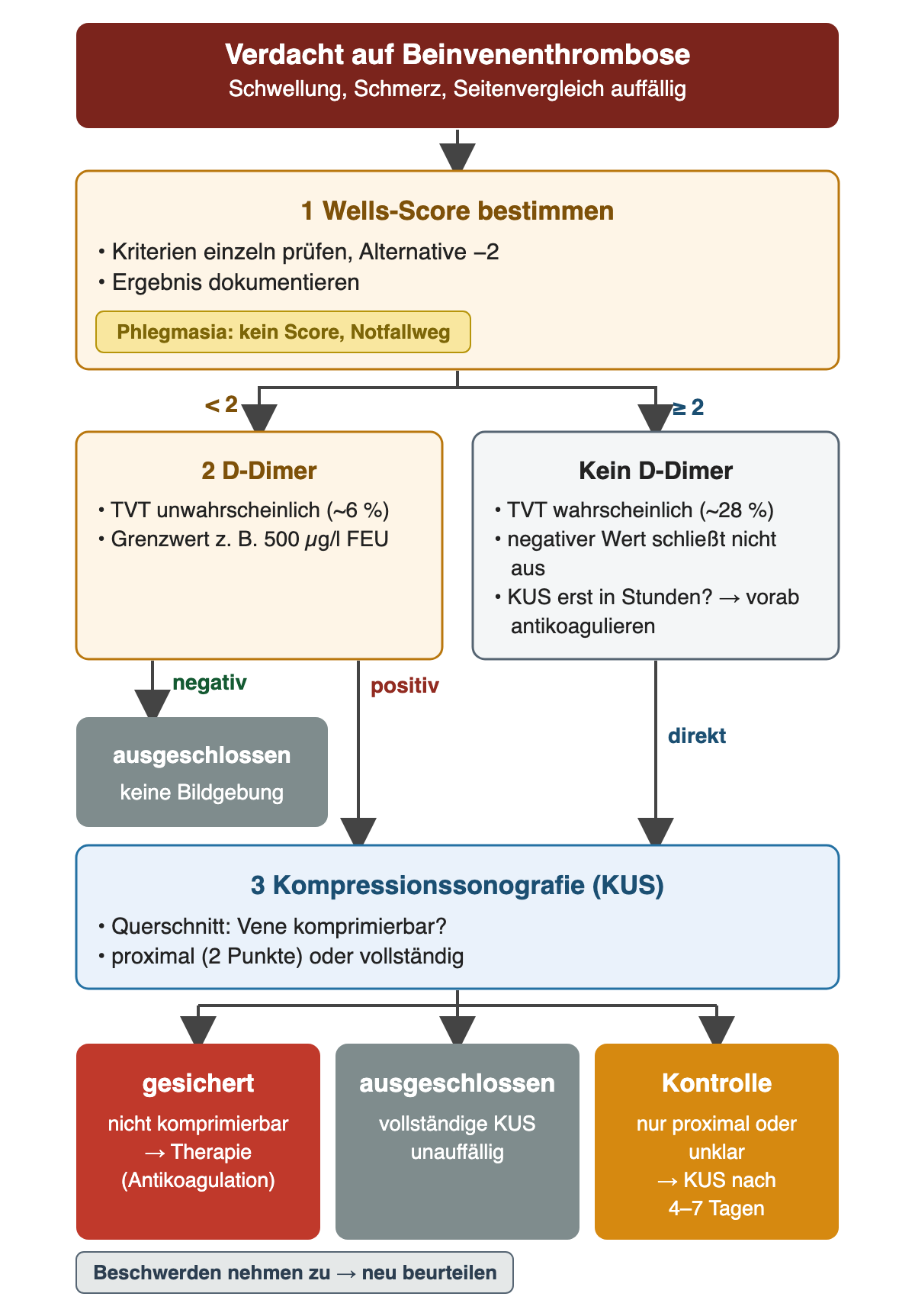 Flussdiagramm: Verdacht auf Beinvenenthrombose; 1 Wells-Score bestimmen, Phlegmasia ohne Score. Bei unter 2 Punkten 2 D-Dimer mit Grenzwert zum Beispiel 500 µg/l FEU, TVT bei etwa 6 Prozent; negativ TVT ausgeschlossen ohne Bildgebung, positiv weiter zur Sonografie. Bei 2 oder mehr Punkten kein D-Dimer, TVT bei etwa 28 Prozent, bei Wartezeit auf die Sonografie vorab antikoagulieren, direkt weiter. 3 Kompressionssonografie im Querschnitt, proximal oder vollständig. Drei Ergebnisse: nicht komprimierbar – gesichert, Therapie; vollständige KUS unauffällig – ausgeschlossen; nur proximal oder unklar – Kontrolle nach 4 bis 7 Tagen; bei zunehmenden Beschwerden neu beurteilen