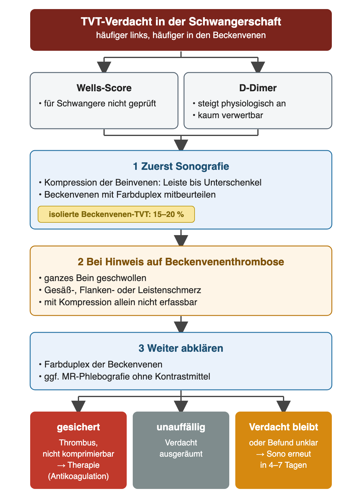 Flussdiagramm: TVT-Verdacht in der Schwangerschaft, häufiger links und in den Beckenvenen. Wells-Score für Schwangere nicht geprüft, D-Dimer steigt physiologisch und ist kaum verwertbar. 1 Zuerst Sonografie: Kompression der Beinvenen von der Leiste bis zum Unterschenkel, Beckenvenen mit Farbduplex, isolierte Beckenvenen-TVT 15 bis 20 Prozent. 2 Bei Hinweis auf Beckenvenenthrombose: ganzes Bein geschwollen, Gesäß-, Flanken- oder Leistenschmerz. 3 Farbduplex der Beckenvenen, gegebenenfalls MR-Phlebografie ohne Kontrastmittel. Drei Ergebnisse: gesichert – Therapie; unauffällig – Verdacht ausgeräumt; Verdacht bleibt oder Befund unklar – Sonografie erneut in 4 bis 7 Tagen