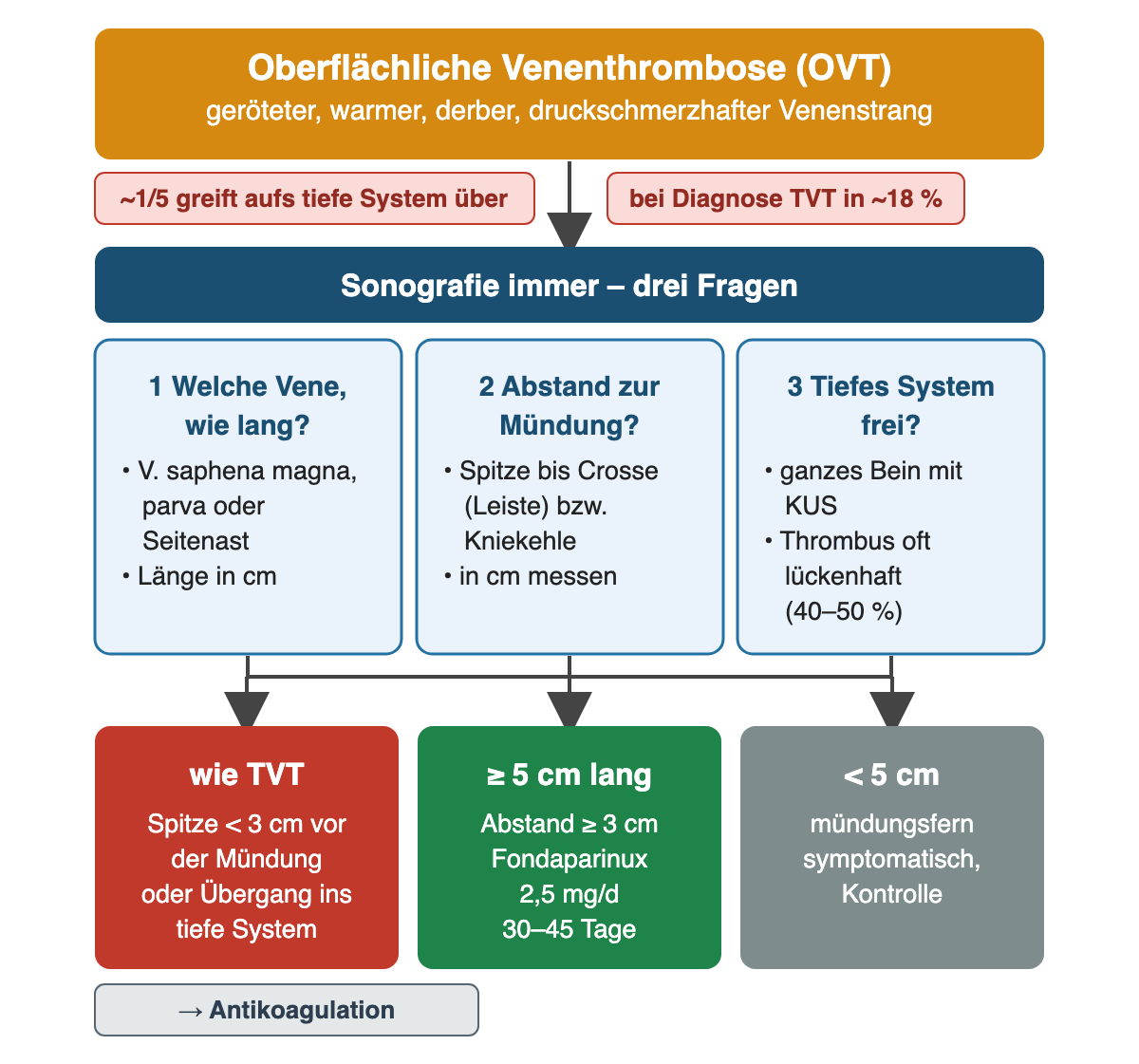 Flussdiagramm: oberflächliche Venenthrombose als geröteter, warmer, derber Venenstrang; Hinweise: etwa ein Fünftel greift auf das tiefe System über, bei Diagnose TVT in etwa 18 Prozent. Sonografie immer mit drei Fragen nebeneinander: 1 welche Vene und wie lang, 2 Abstand der Spitze zur Mündung an Crosse oder Kniekehle, 3 tiefes System frei, ganzes Bein mit KUS, Thrombus in 40 bis 50 Prozent lückenhaft. Drei Ergebnisse: Spitze unter 3 cm vor der Mündung oder Übergang ins tiefe System – wie TVT; mindestens 5 cm lang und mindestens 3 cm Abstand – Fondaparinux 2,5 mg täglich für 30 bis 45 Tage; unter 5 cm und mündungsfern – symptomatisch und Kontrolle