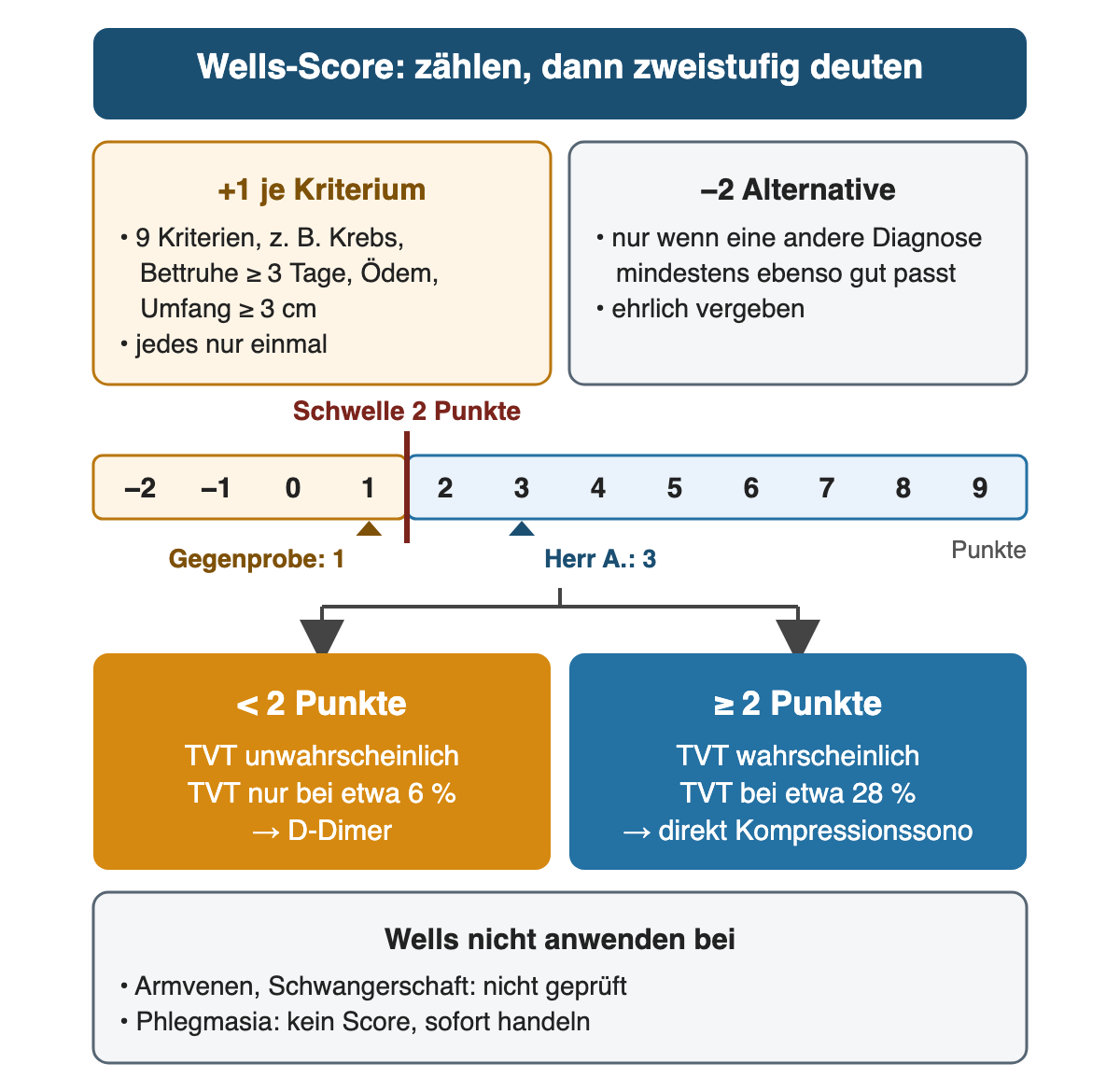 Oben zwei Kästen: plus 1 je Kriterium, 9 Kriterien, jedes nur einmal; minus 2 nur für eine mindestens ebenso passende Alternative. Darunter eine Punkteskala von −2 bis 9 mit der Schwelle bei 2 Punkten; Marker bei 1 Punkt für die Gegenprobe und bei 3 Punkten für Herrn A. Unten zwei Ergebnisfelder: unter 2 Punkten TVT unwahrscheinlich, TVT bei etwa 6 Prozent, nächster Schritt D-Dimer; ab 2 Punkten TVT wahrscheinlich, TVT bei etwa 28 Prozent, direkt Kompressionssonografie; darunter Ausschlüsse: Armvenen, Schwangerschaft, Phlegmasia