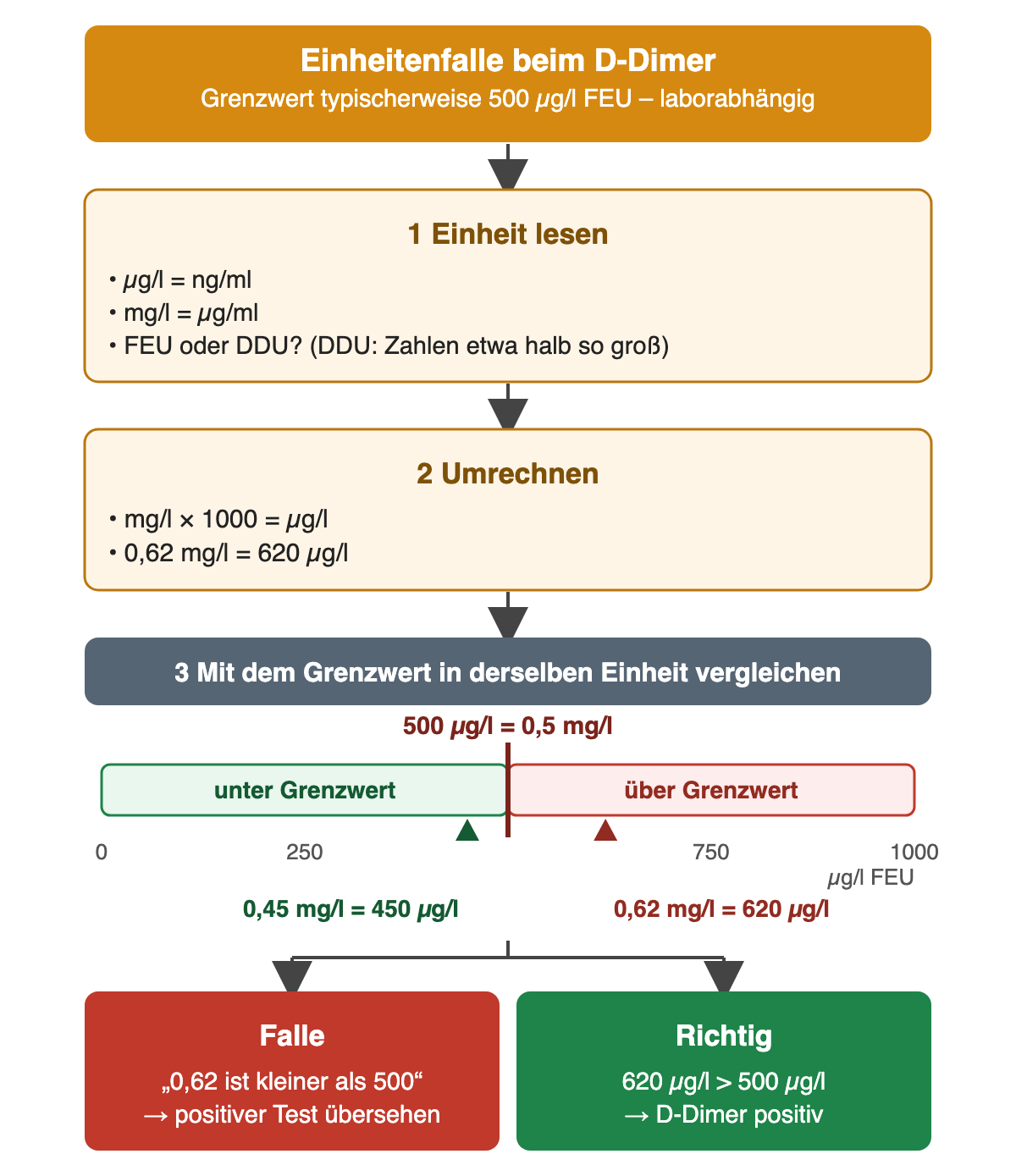 Drei Schritte untereinander: 1 Einheit lesen – µg/l gleich ng/ml, mg/l gleich µg/ml, FEU oder DDU; 2 umrechnen – mg/l mal 1000 gleich µg/l, 0,62 mg/l gleich 620 µg/l; 3 auf einer Skala von 0 bis 1000 µg/l FEU mit Grenze bei 500 µg/l gleich 0,5 mg/l vergleichen, Marker bei 450 µg/l unter und bei 620 µg/l über dem Grenzwert. Unten zwei Felder: Falle „0,62 ist kleiner als 500“ übersieht einen positiven Test; richtig: 620 µg/l liegt über 500 µg/l, das D-Dimer ist positiv