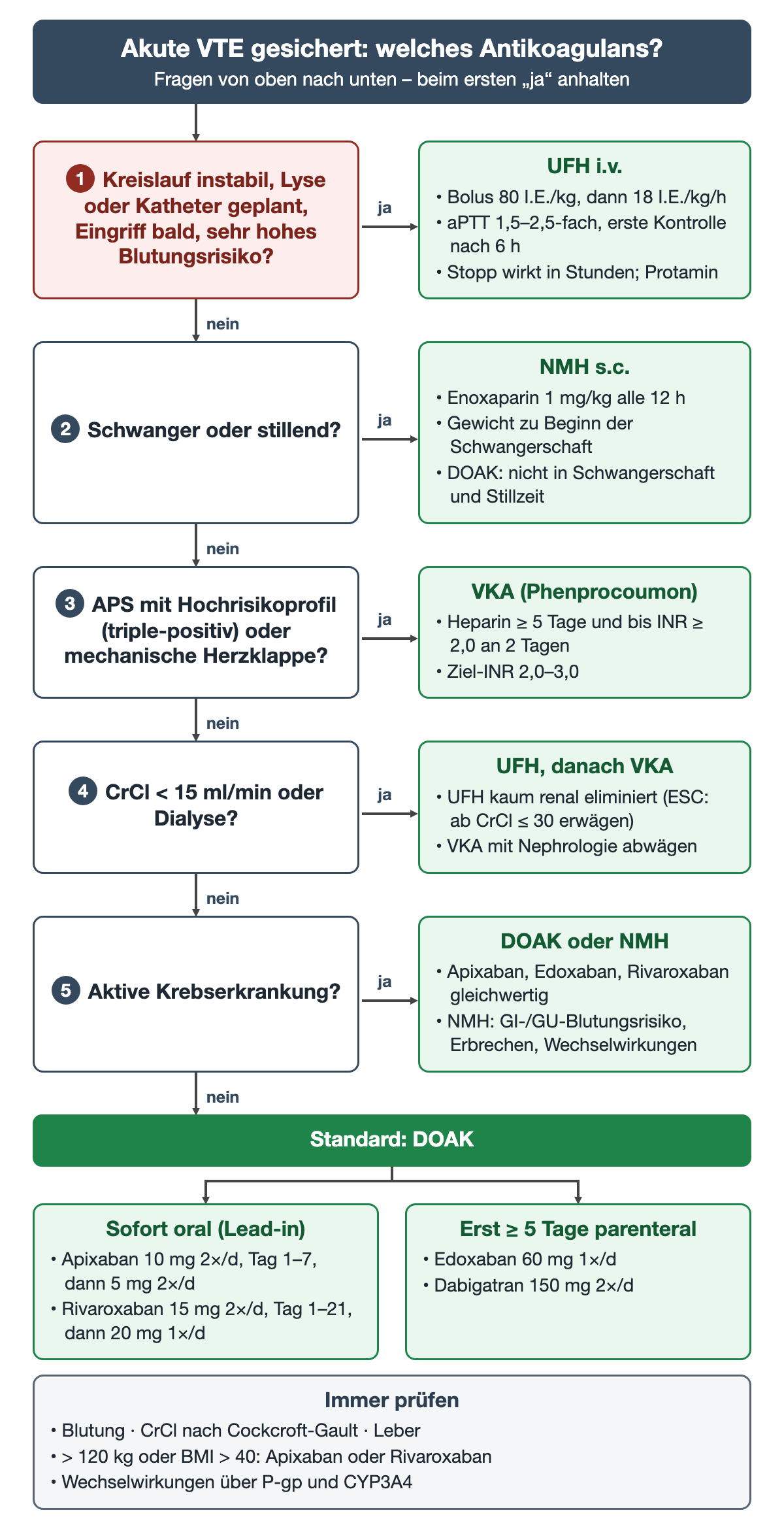 Entscheidungsbaum mit fünf Ja-Nein-Fragen von Kreislaufinstabilität bis aktiver Krebserkrankung; jede Ja-Antwort führt zu einem Kasten mit Wirkstoff und Dosis (UFH-Bolus 80 I.E./kg und 18 I.E./kg/h, Enoxaparin 1 mg/kg alle 12 h, VKA mit Ziel-INR 2,0–3,0); nach fünfmal Nein der Standard DOAK mit oralem Lead-in oder parenteraler Vorbehandlung; unten die Prüfliste für Blutung, Niere, Leber, Gewicht und Wechselwirkungen