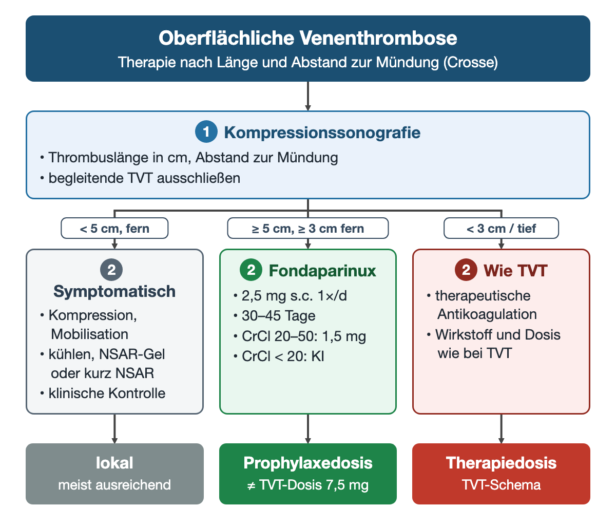 Nach der Kompressionssonografie drei Wege: unter 5 cm und mündungsfern symptomatische Behandlung; ab 5 cm Länge und mindestens 3 cm Abstand zur Mündung Fondaparinux 2,5 mg einmal täglich für 30–45 Tage; unter 3 cm Abstand oder Übergang ins tiefe System therapeutische Antikoagulation wie bei TVT