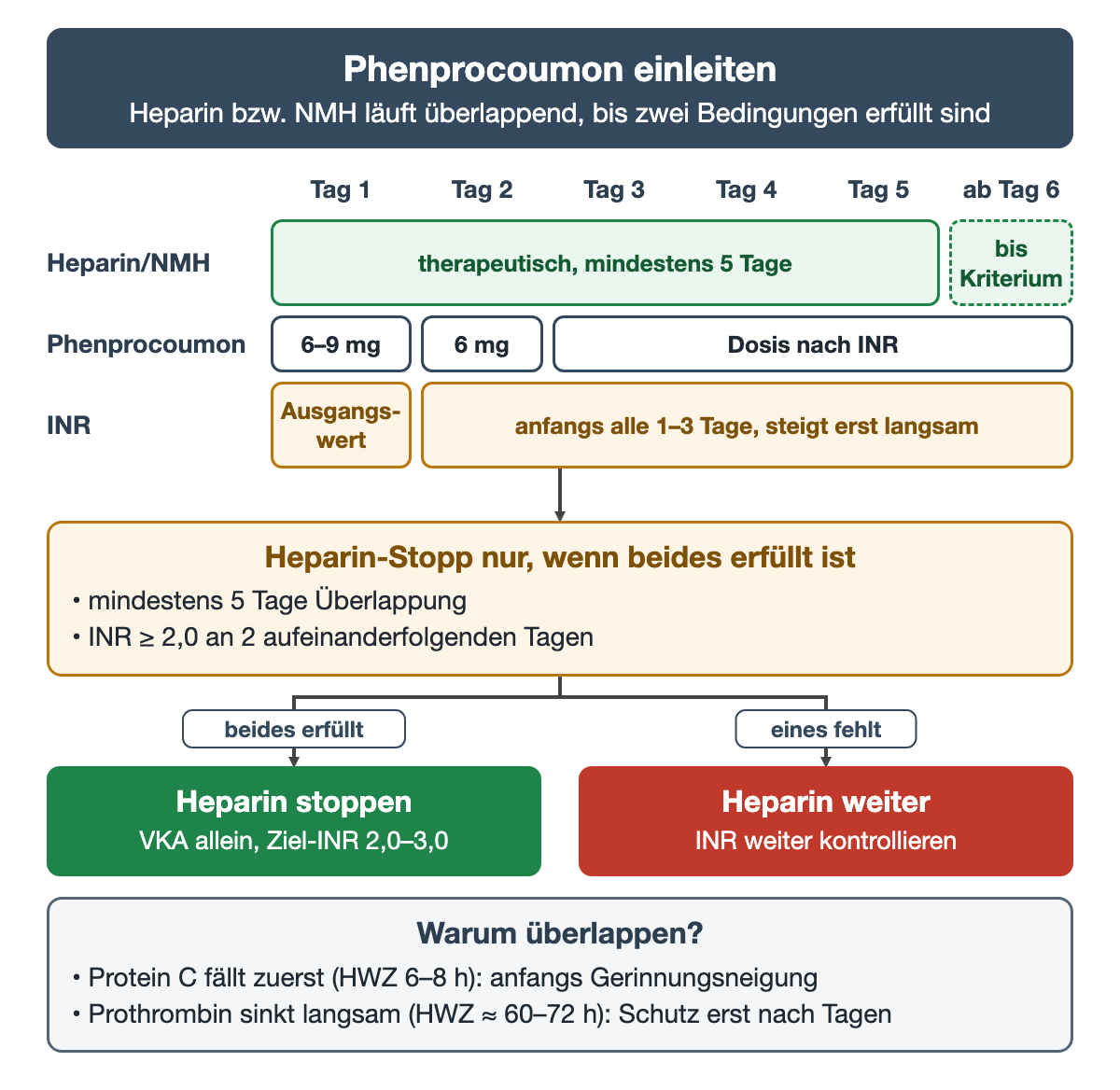 Zeitleiste von Tag 1 bis ab Tag 6: Heparin bzw. NMH mindestens 5 Tage, Phenprocoumon 6–9 mg an Tag 1, 6 mg an Tag 2, danach nach INR; darunter die zwei Stopp-Bedingungen, die Verzweigung in Heparin stoppen oder weiterführen und die Halbwertszeiten von Protein C und Prothrombin