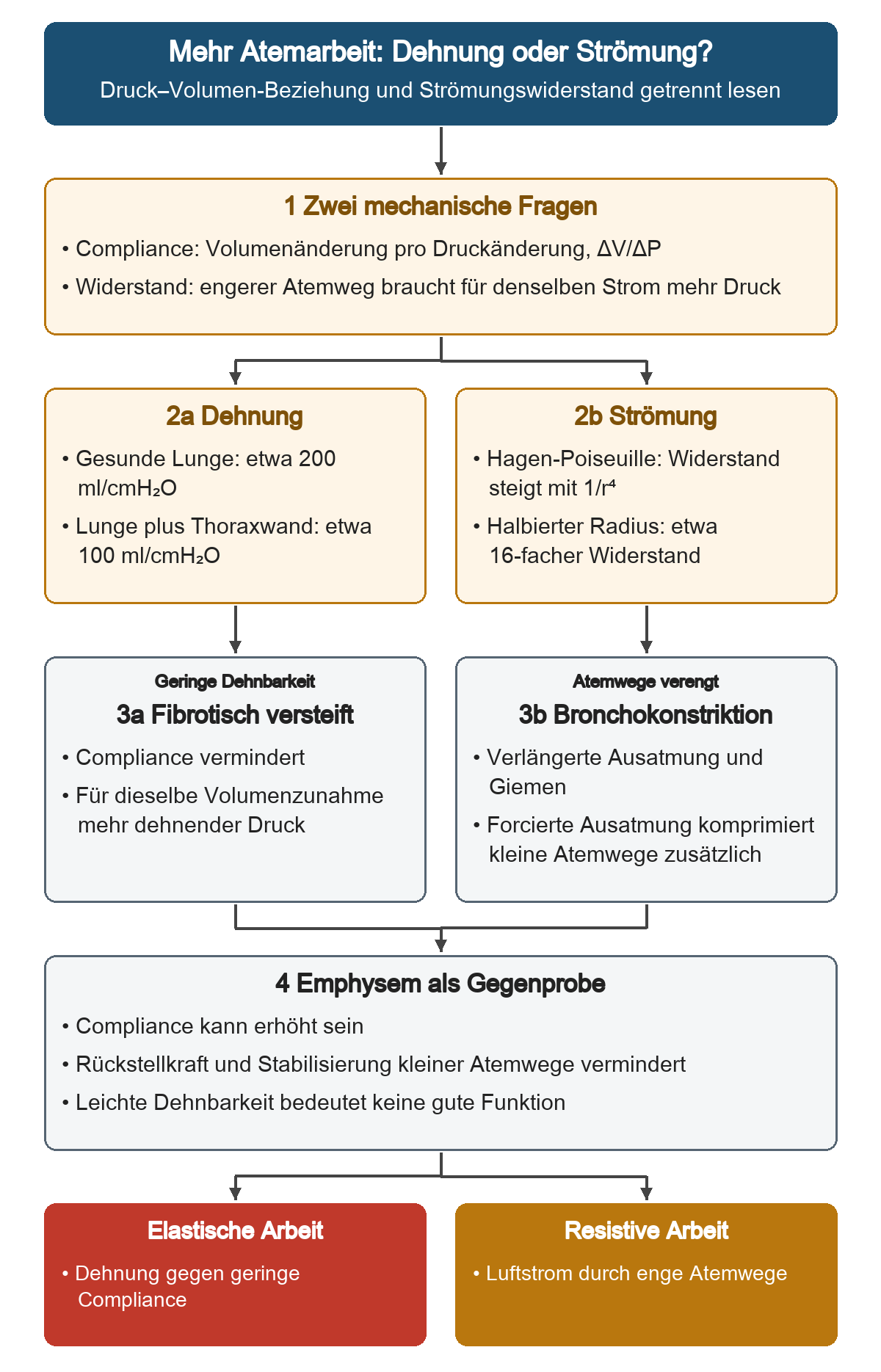Von der mechanischen Frage führen zwei Spalten zu Compliance und Widerstand. Links stehen Referenzwerte und Fibrose, rechts der Radiusbezug und Bronchokonstriktion. Emphysem zeigt anschließend, warum erhöhte Dehnbarkeit allein keine gute Funktion bedeutet.