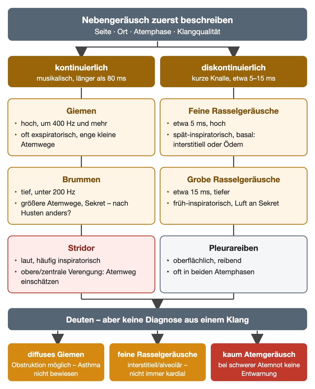 Nebengeräusche nach Beschreibung von Seite, Ort, Atemphase und Klangqualität: kontinuierlich, länger als 80 ms – Giemen um 400 Hz und mehr, oft exspiratorisch; Brummen unter 200 Hz; Stridor laut, häufig inspiratorisch. Diskontinuierlich, etwa 5–15 ms – feine Rasselgeräusche um 5 ms, spätinspiratorisch und basal; grobe Rasselgeräusche um 15 ms; Pleurareiben oberflächlich in beiden Atemphasen. Ergebniszeile: diffuses Giemen beweist kein Asthma, feine Rasselgeräusche sind nicht immer kardial, kaum Atemgeräusch bei schwerer Atemnot ist keine Entwarnung.